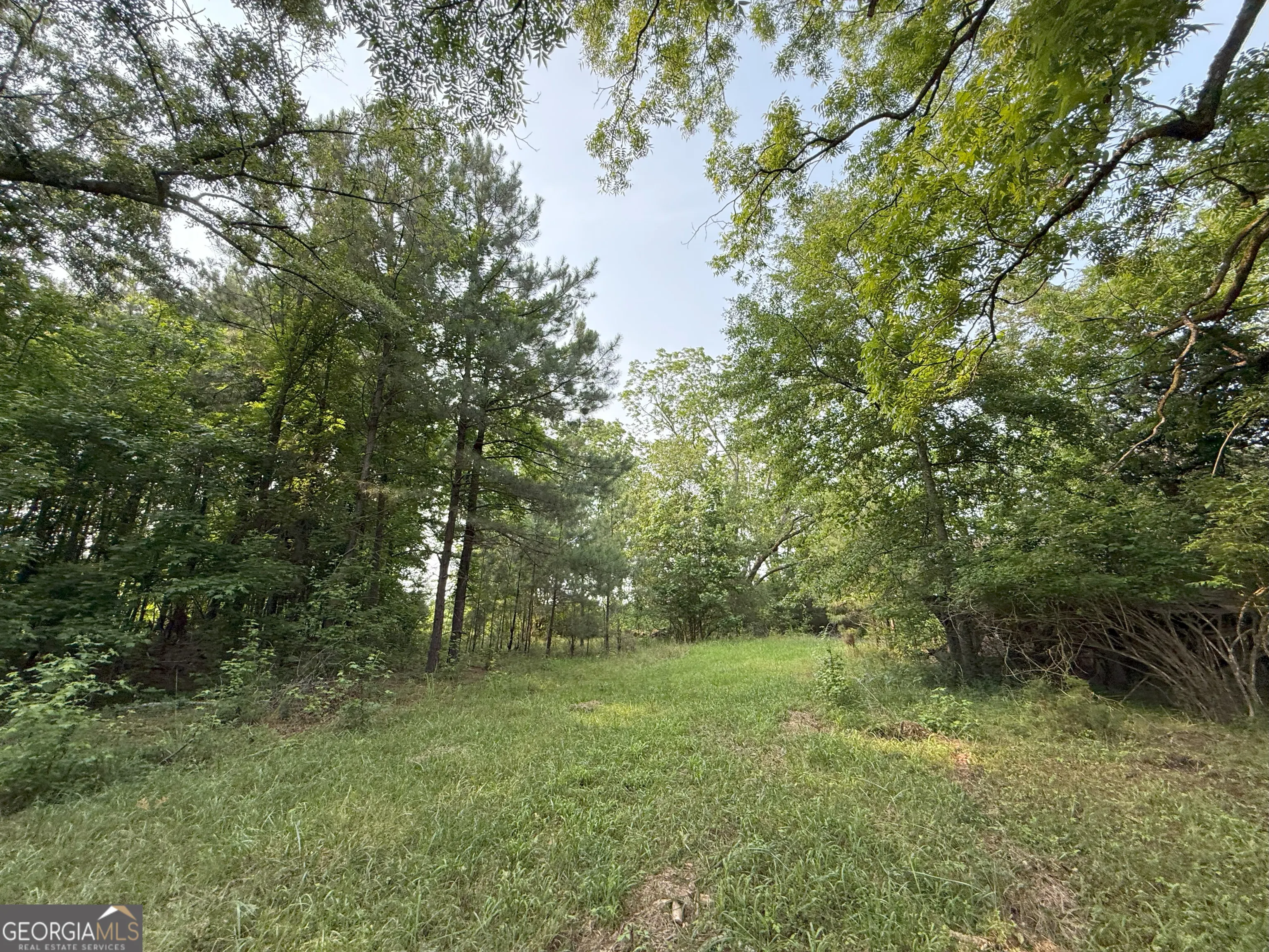 3 Norwood Camak Road