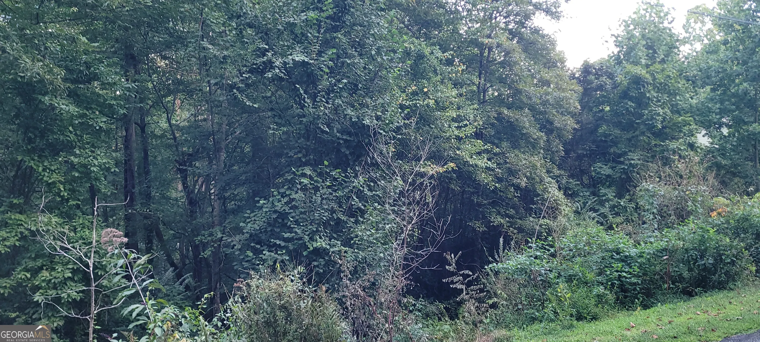 65 Chatuge Village Drive