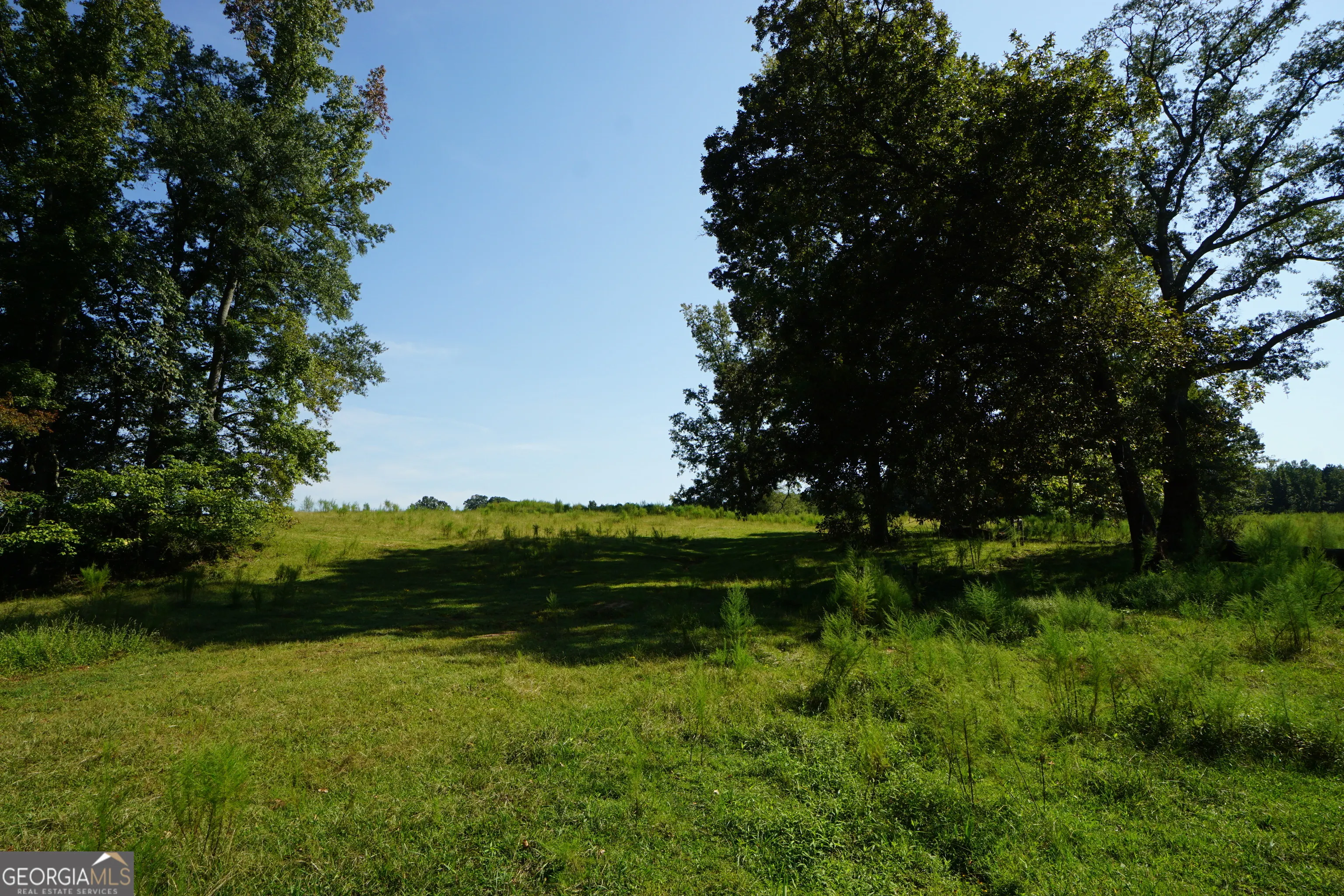 260.66 AC Bohannon Road