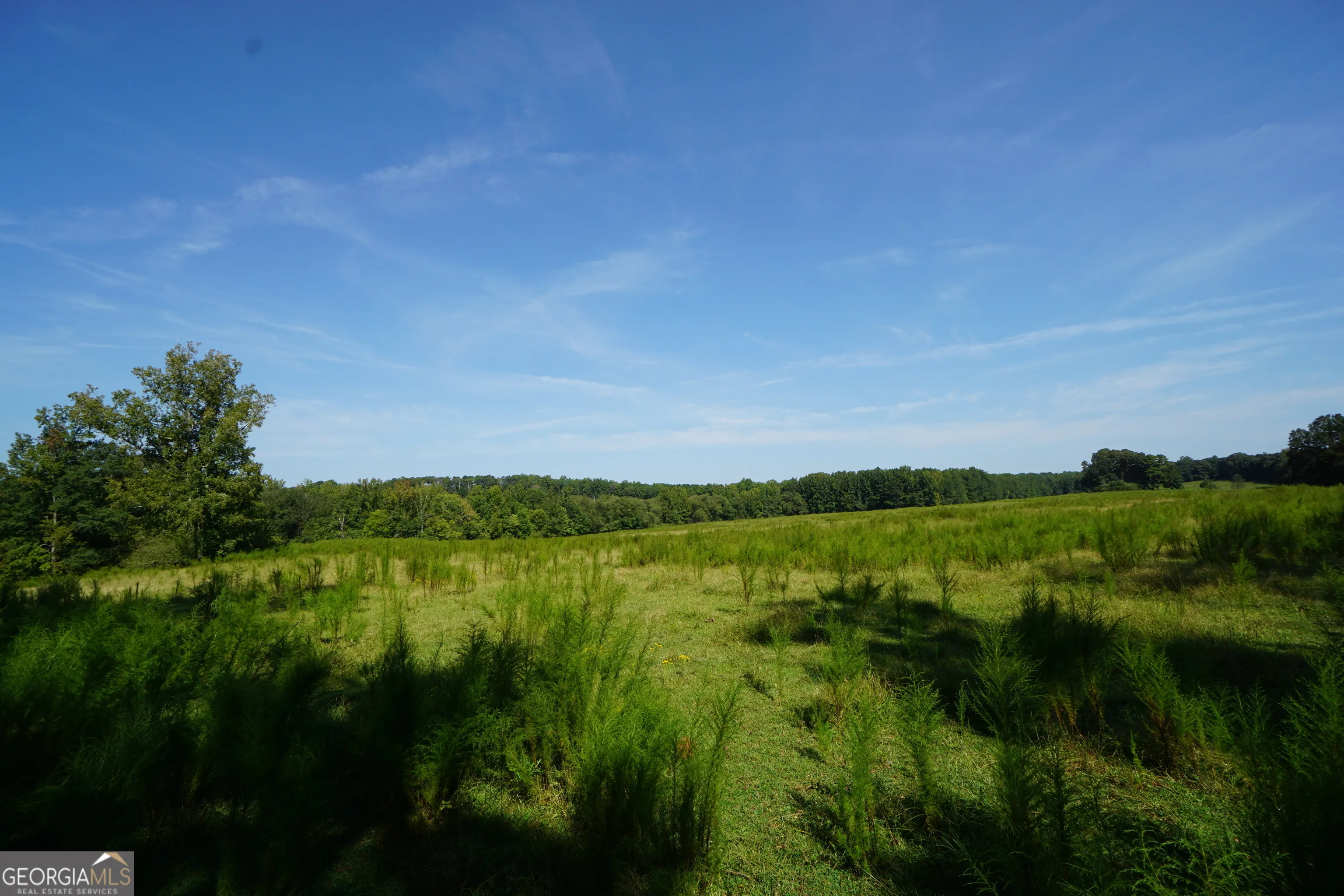 260.66 AC Bohannon Road