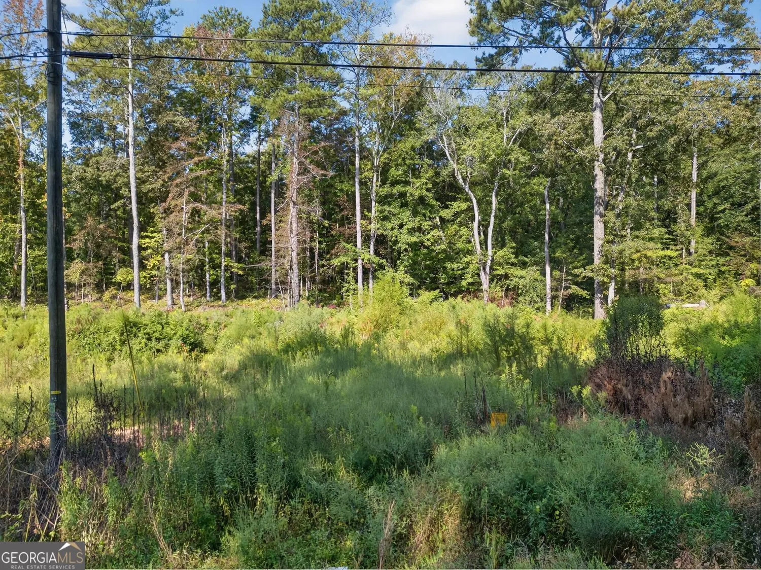 2235 Kings Forest Drive SE, #0