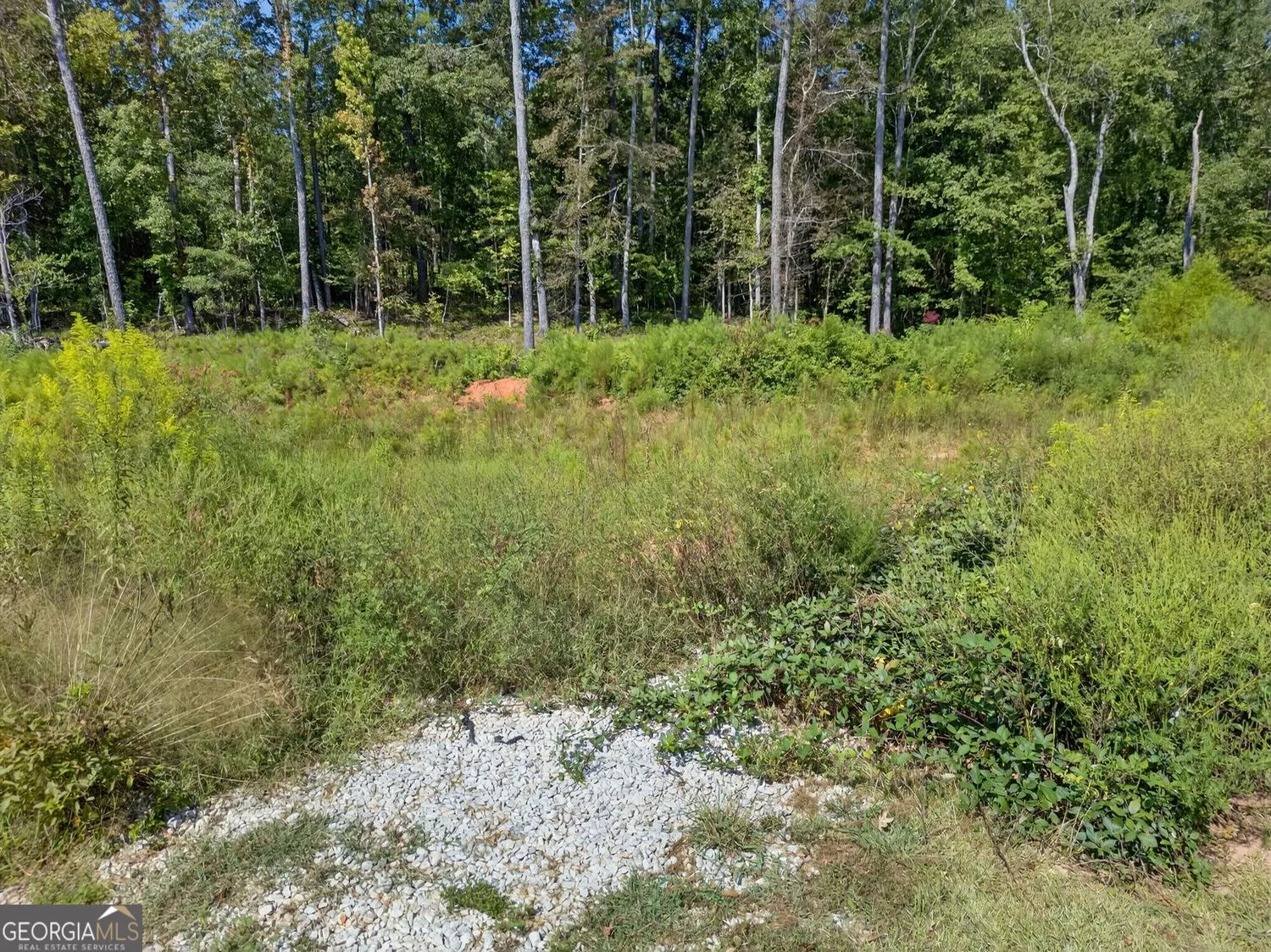 2235 Kings Forest Drive SE, #0