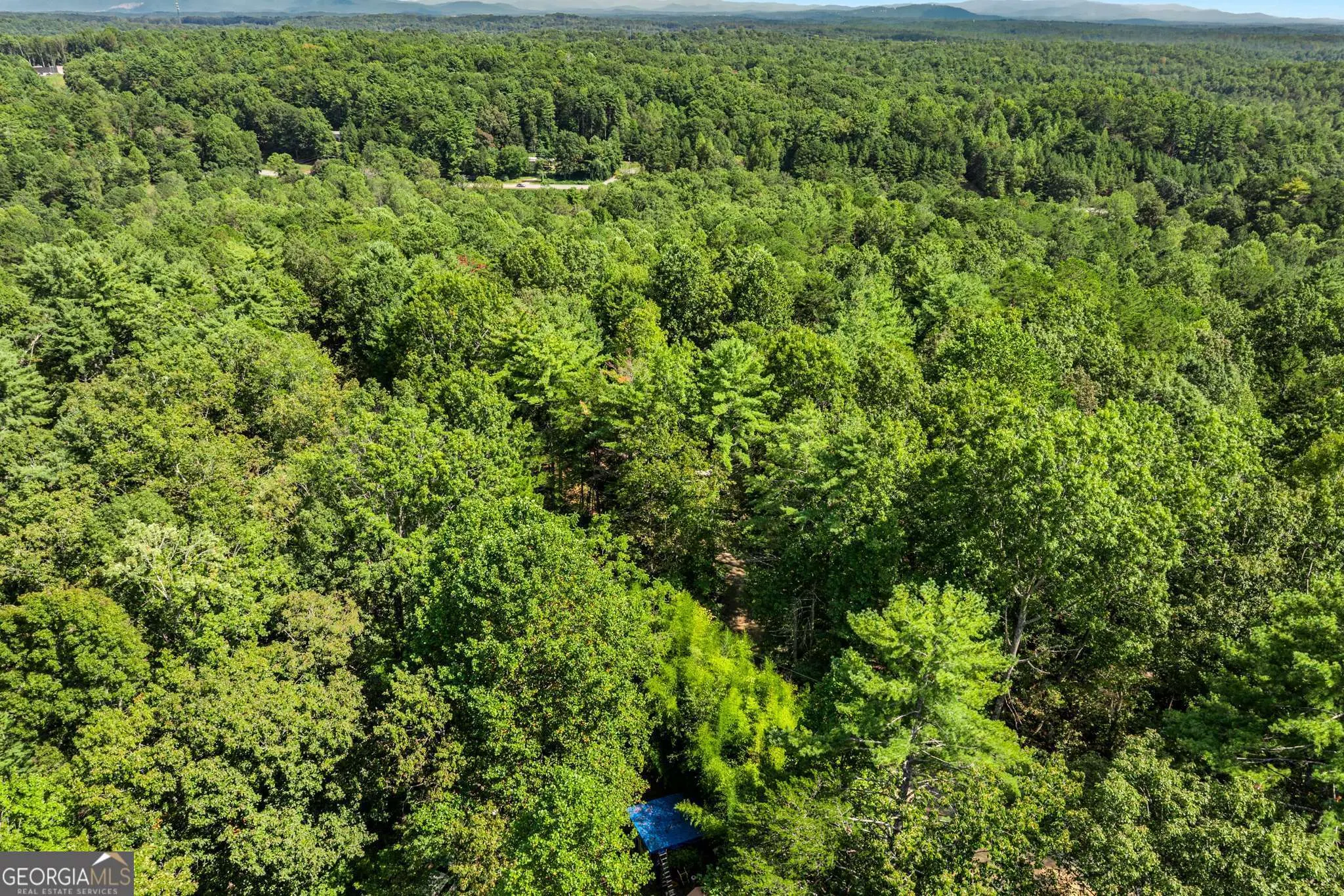 328 Morton Drive, #0
