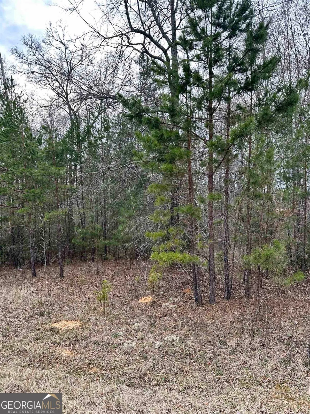 LOT 15 Oconee Springs Road