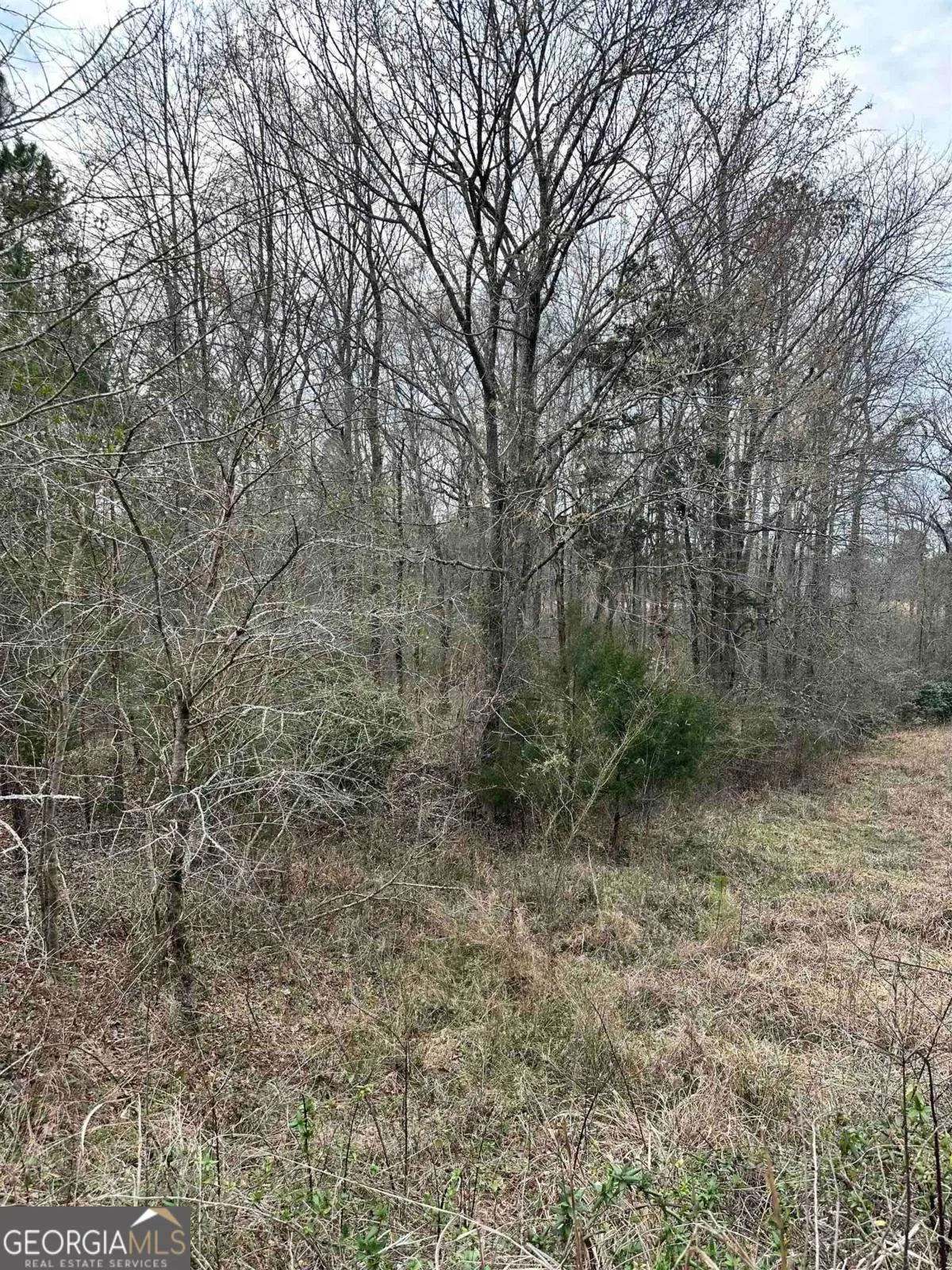 LOT 15 Oconee Springs Road