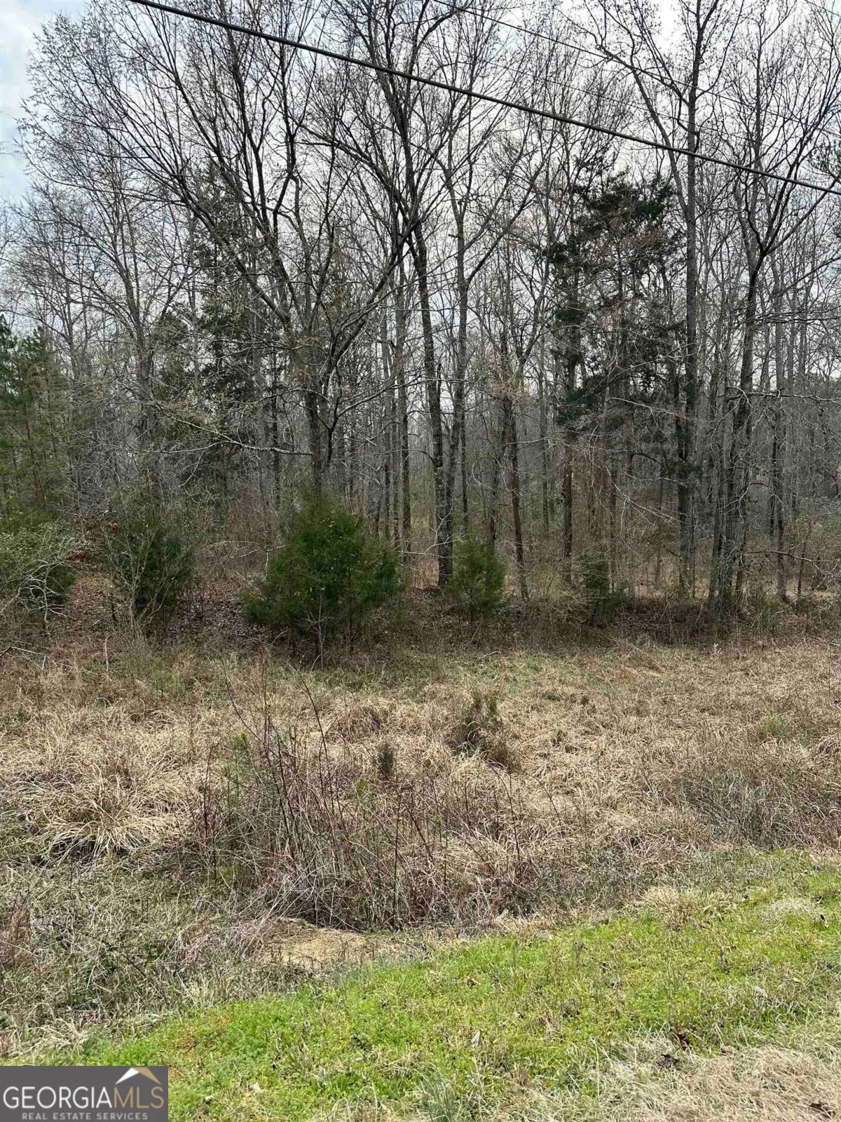 LOT 15 Oconee Springs Road