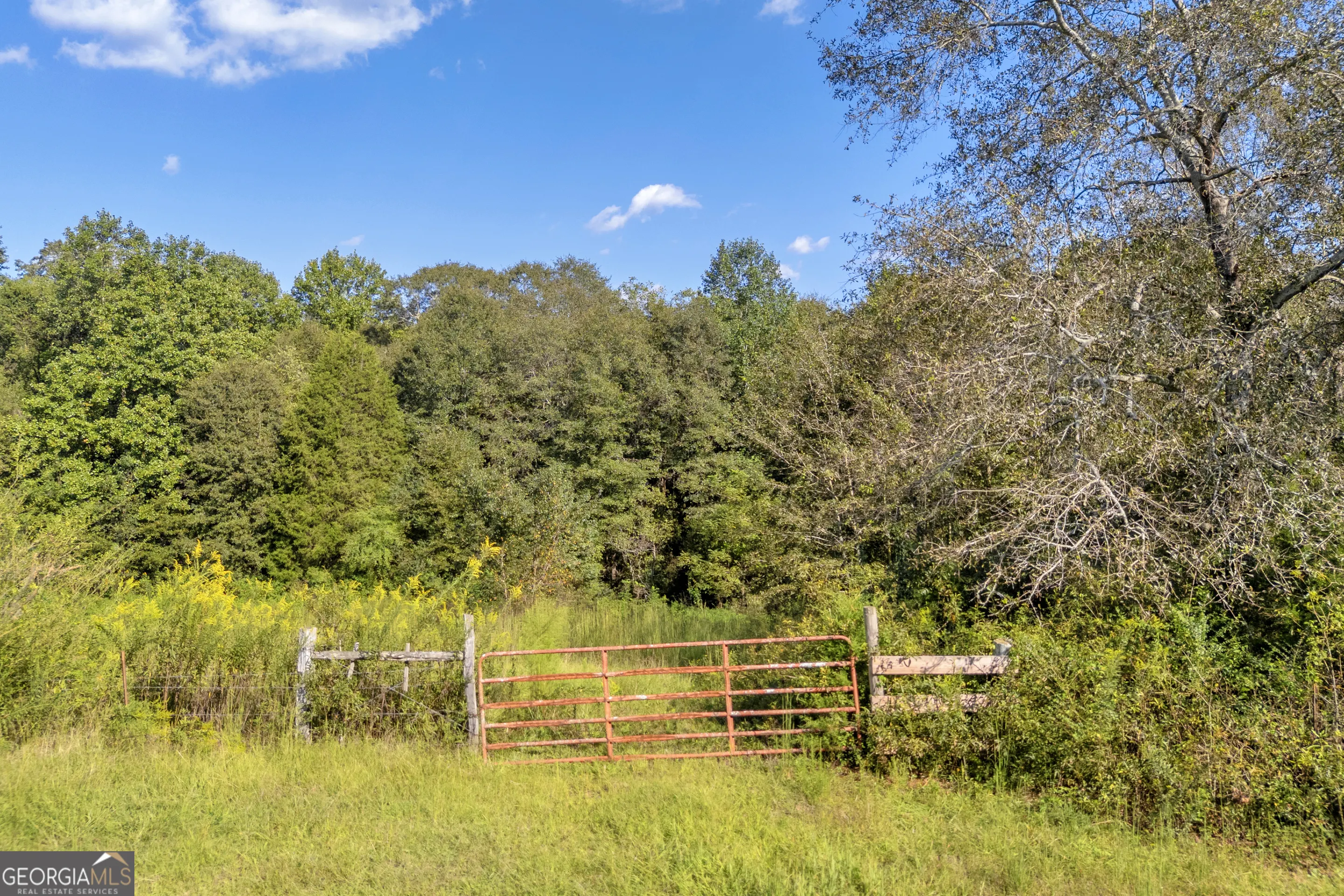 2448 Allen White Road