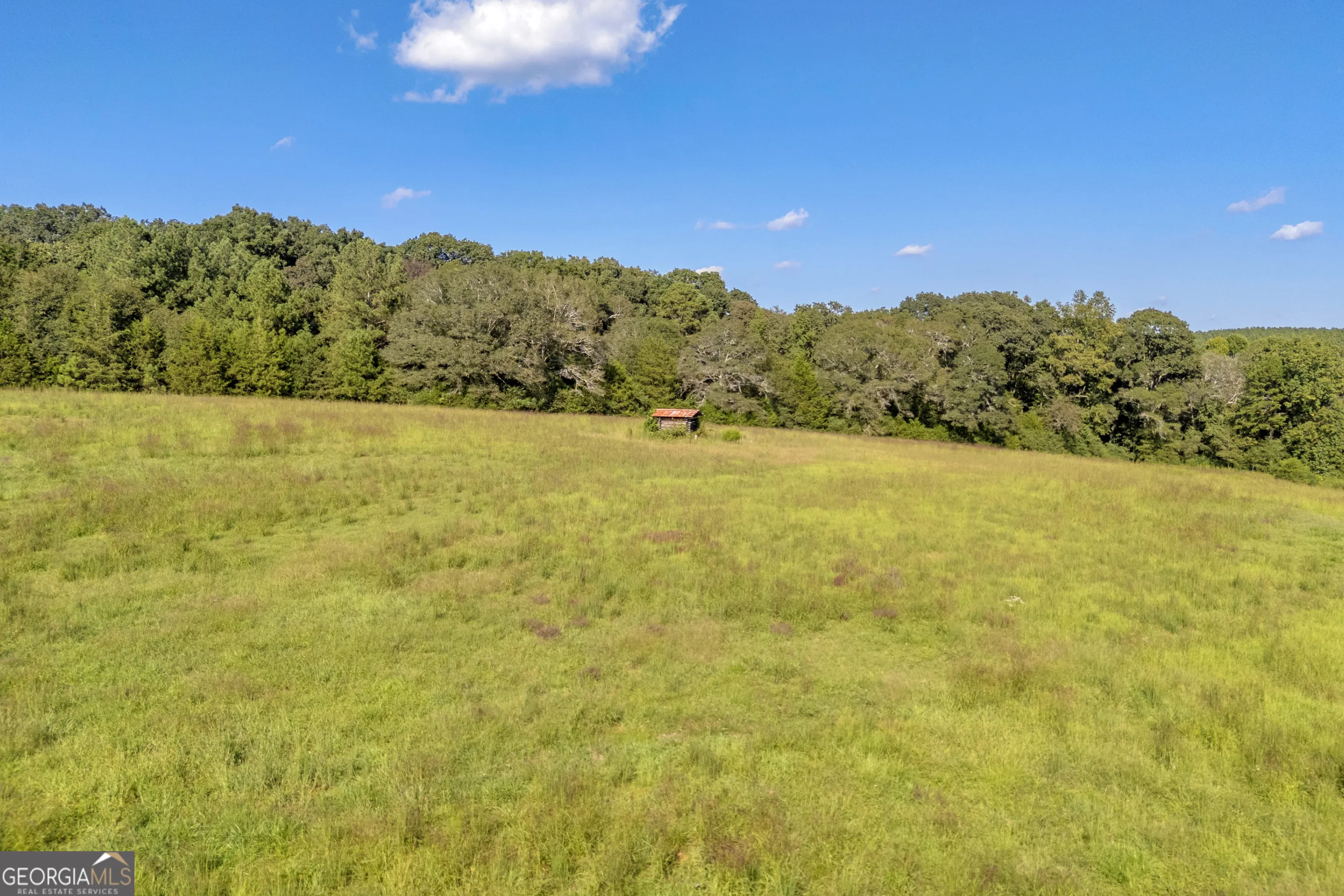 2448 Allen White Road