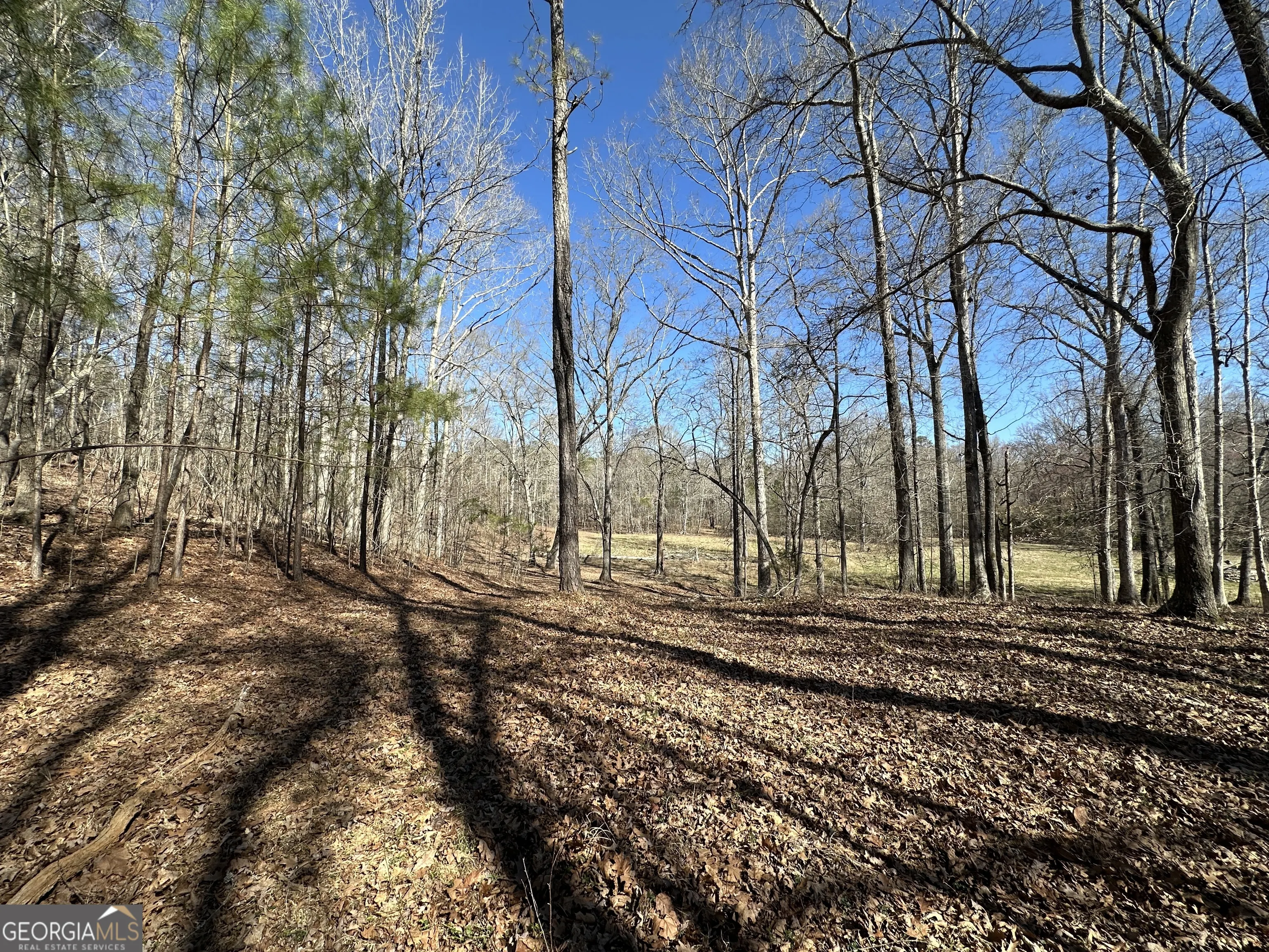 71 ACRES Roosevelt Highway