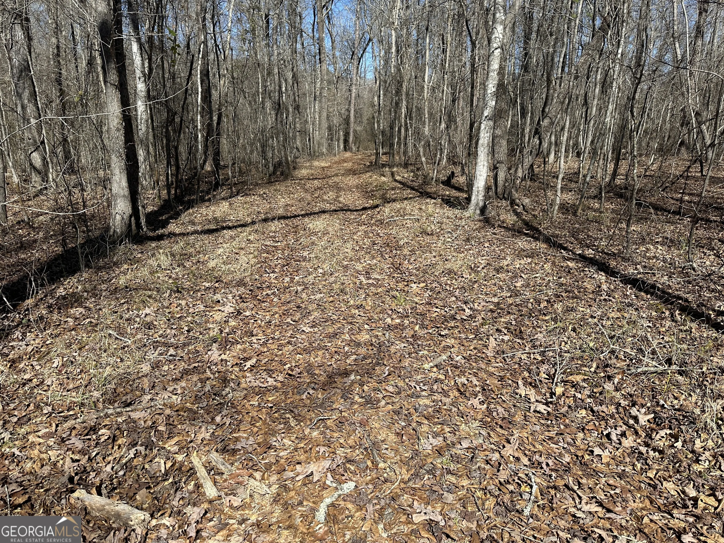 71 ACRES Roosevelt Highway