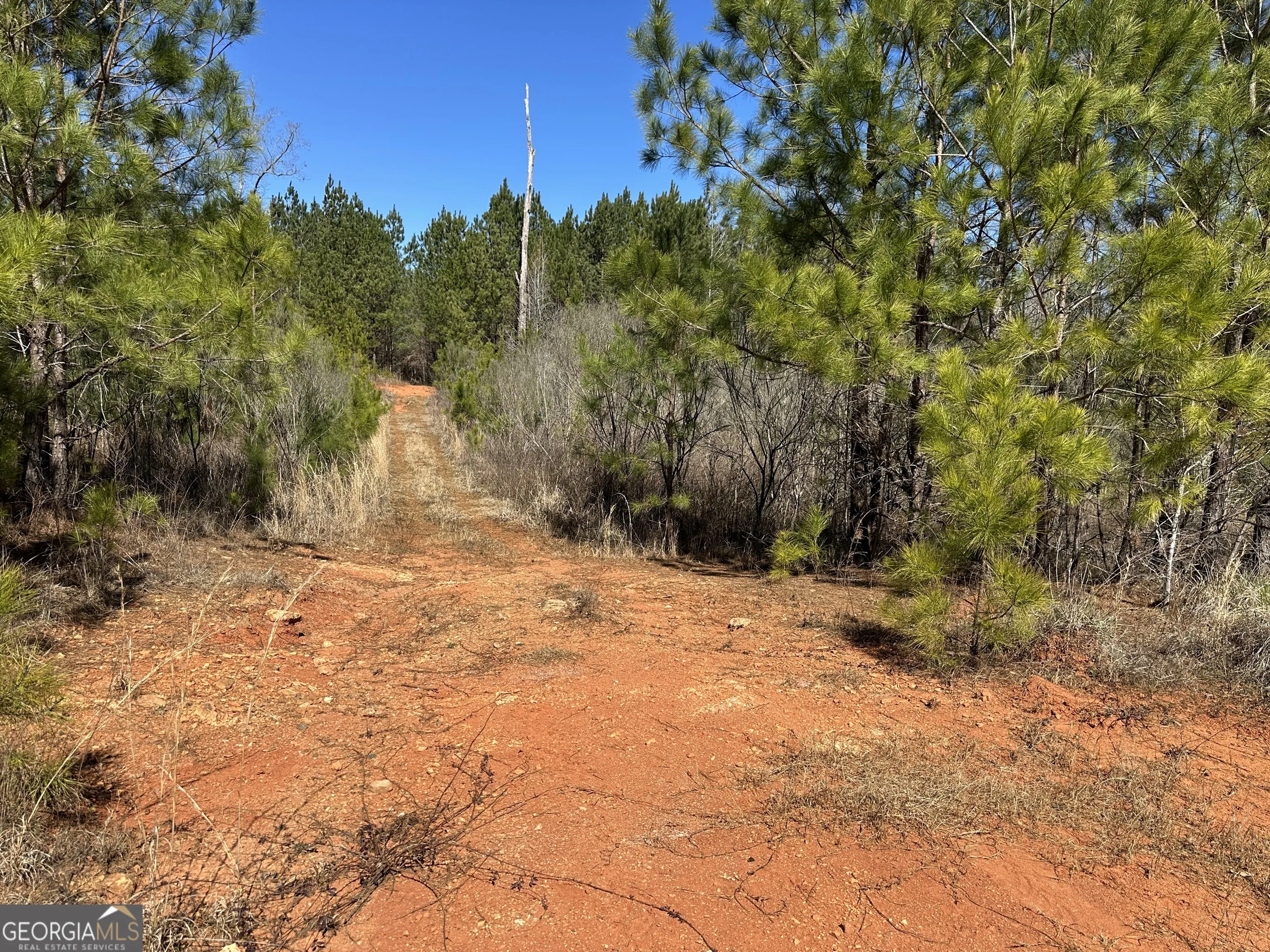 71 ACRES Roosevelt Highway