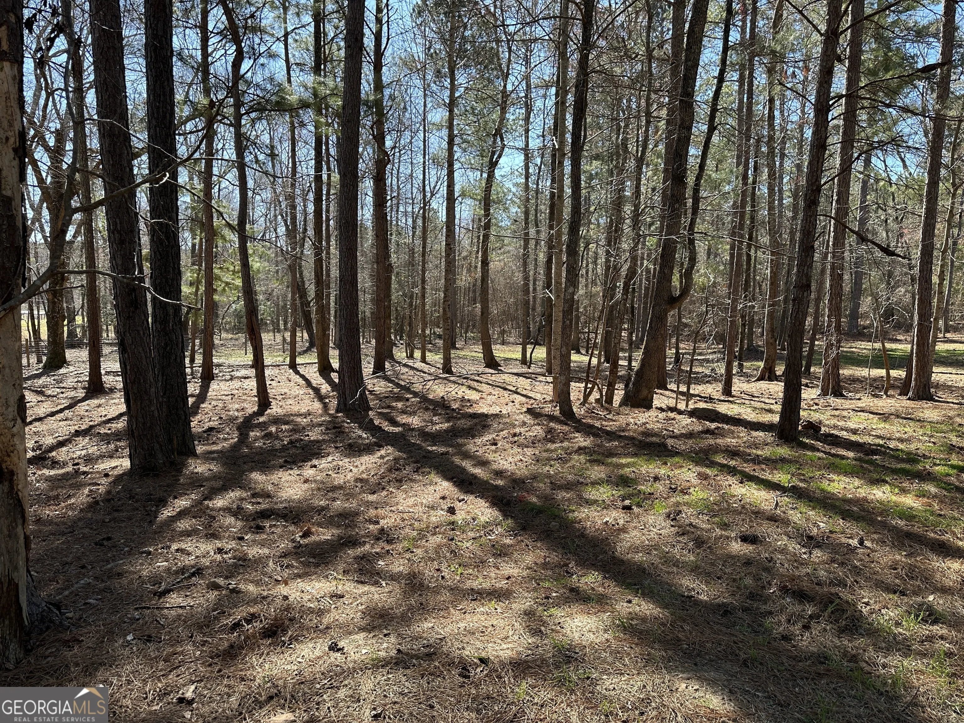 71 ACRES Roosevelt Highway