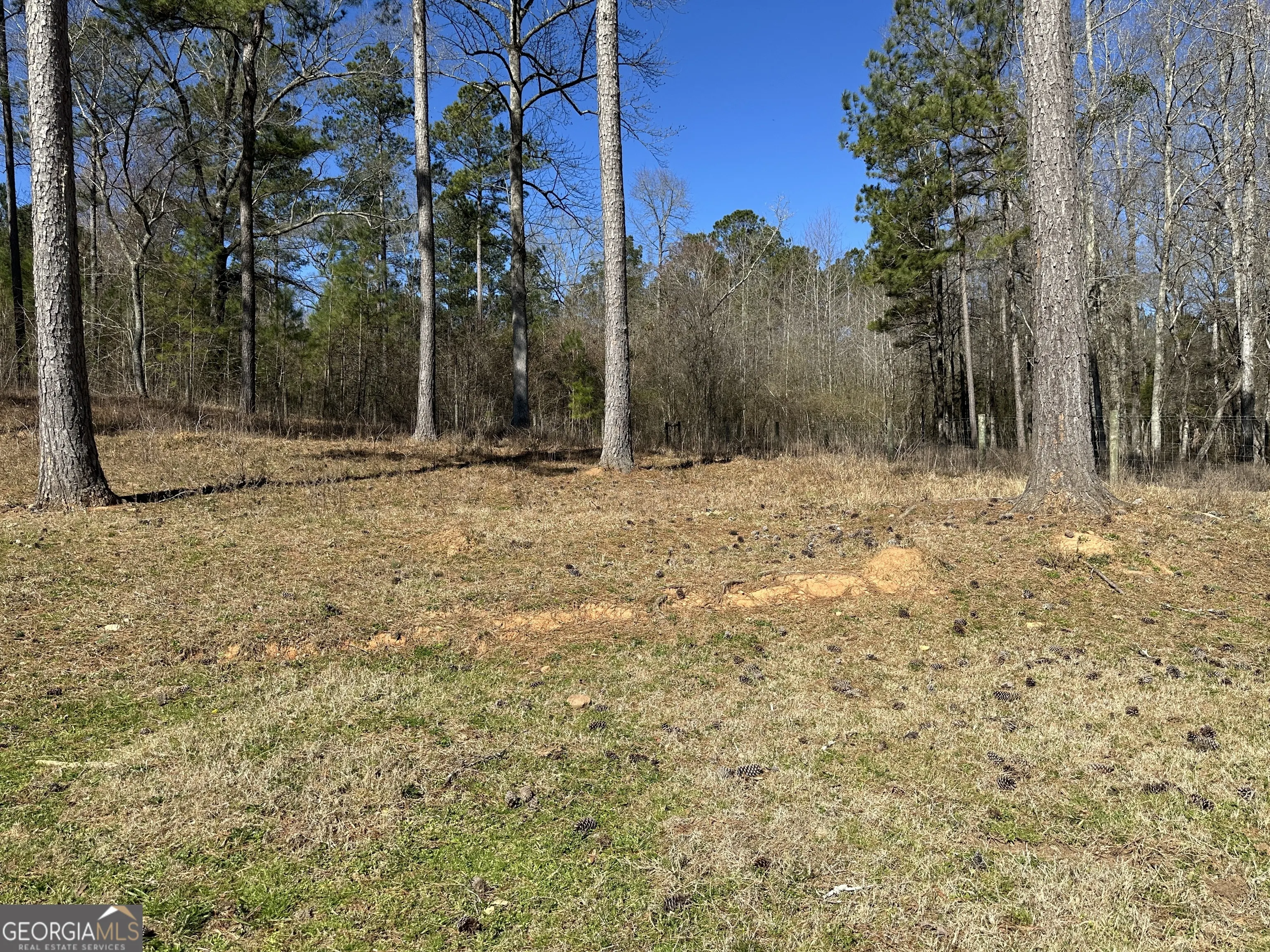71 ACRES Roosevelt Highway