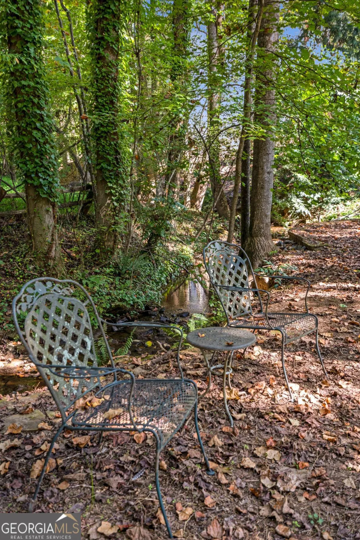 1895 OAK TREE Hollow