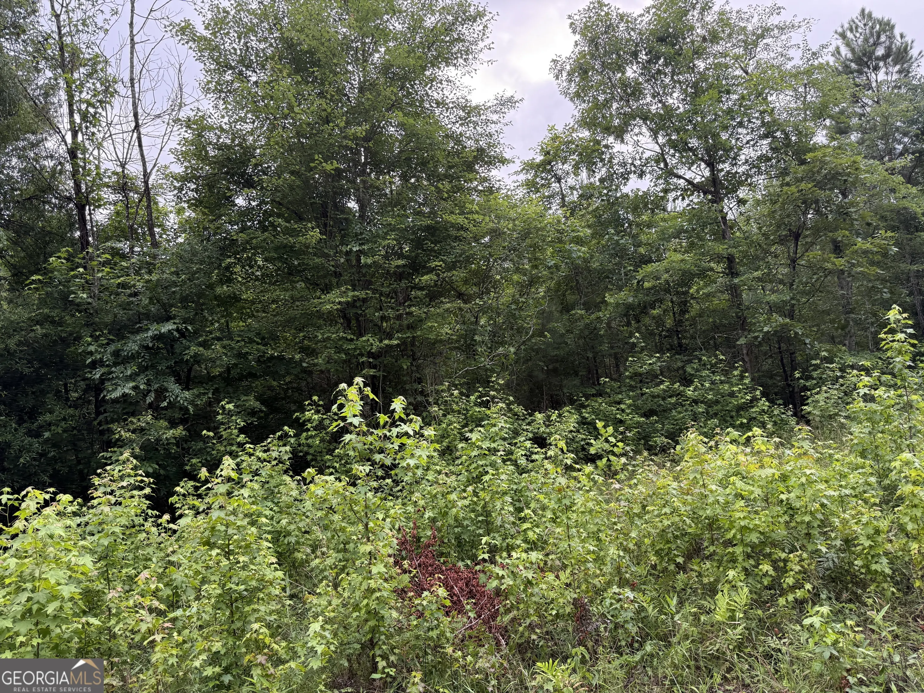 TRACT 1 & 2 0 Culpepper Road, #TRACT 1 & 2