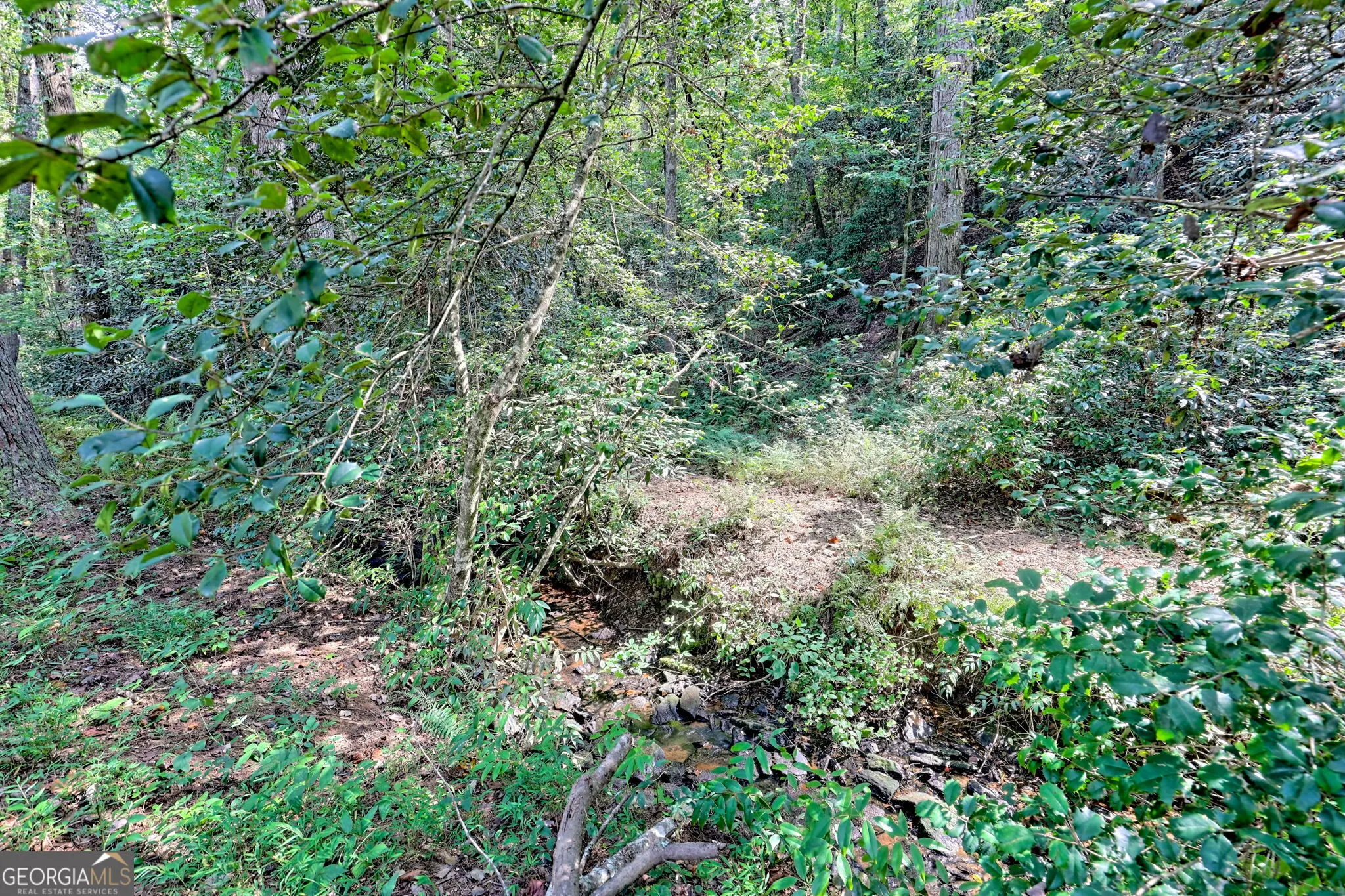 931 Turkey Crest Road