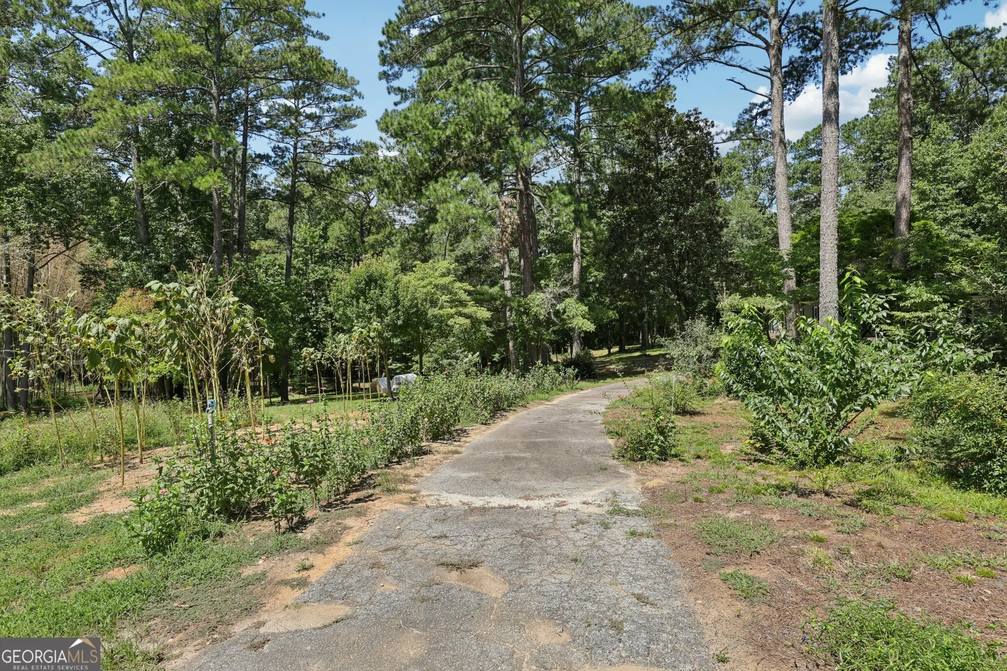 250 Stagecoach Road