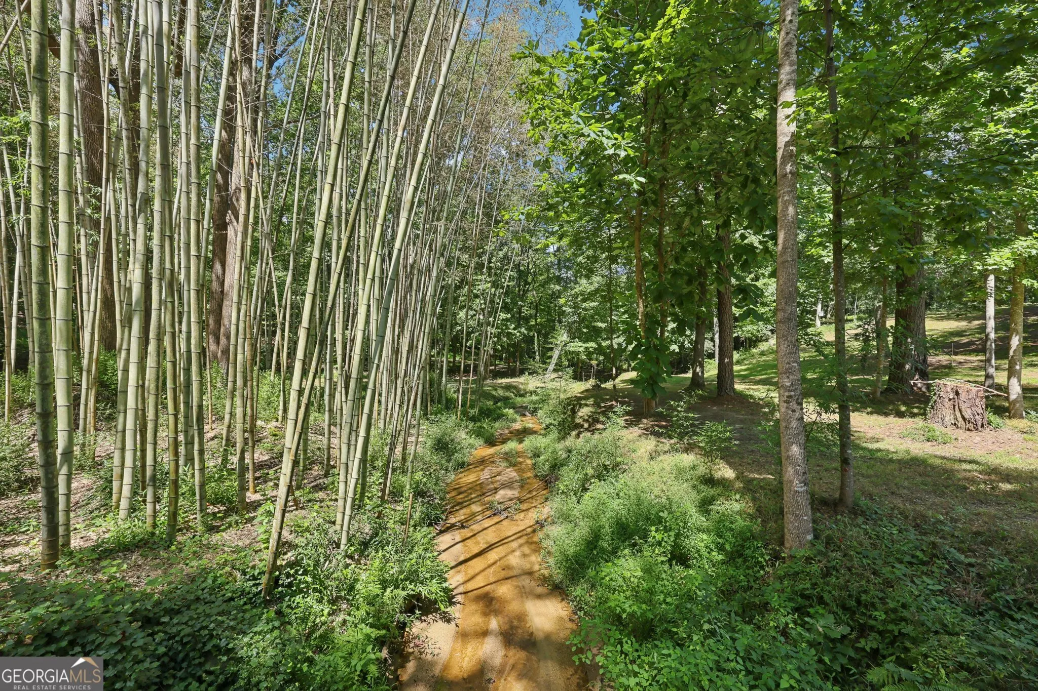250 Stagecoach Road