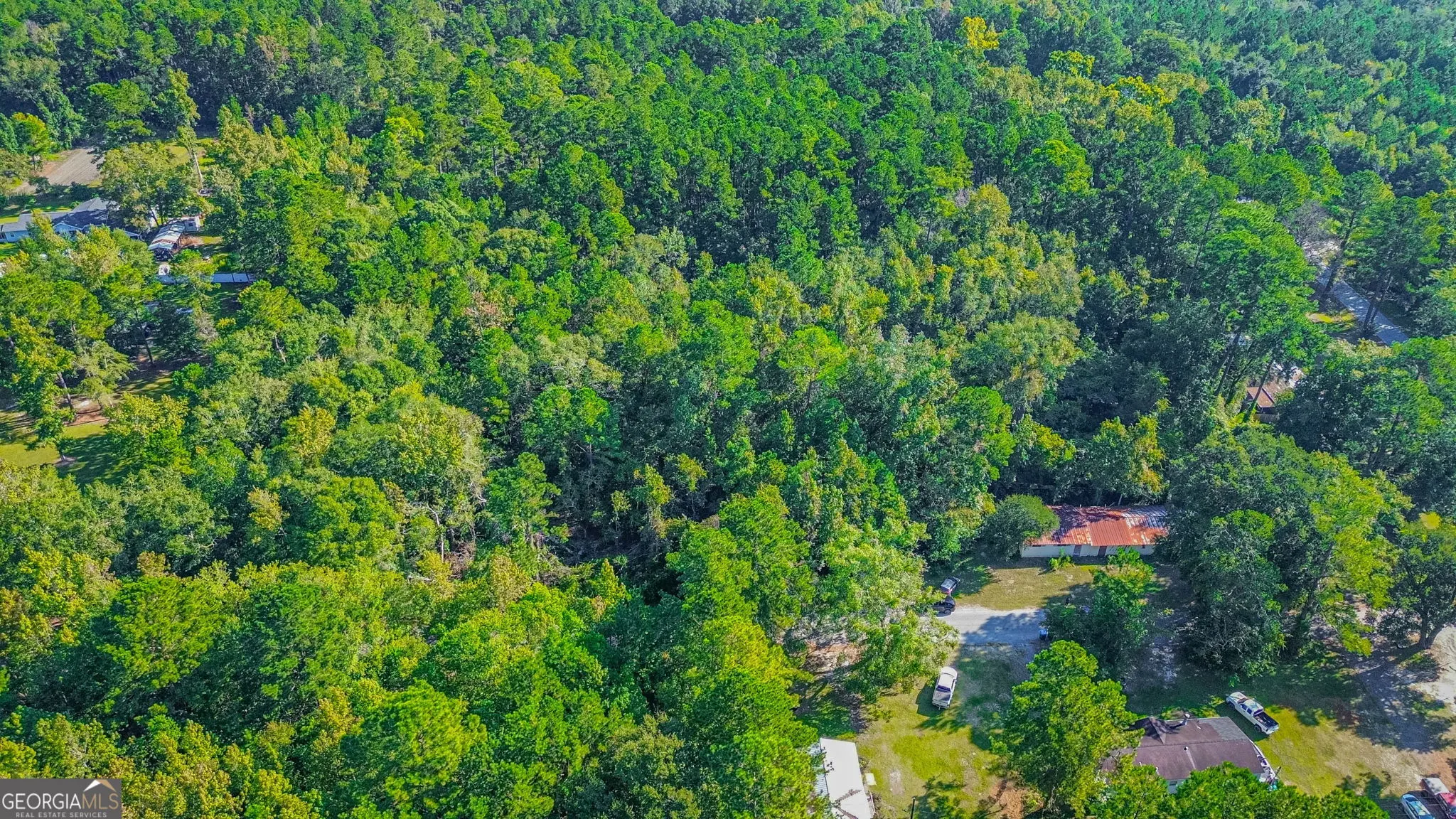247 Cedar Lane