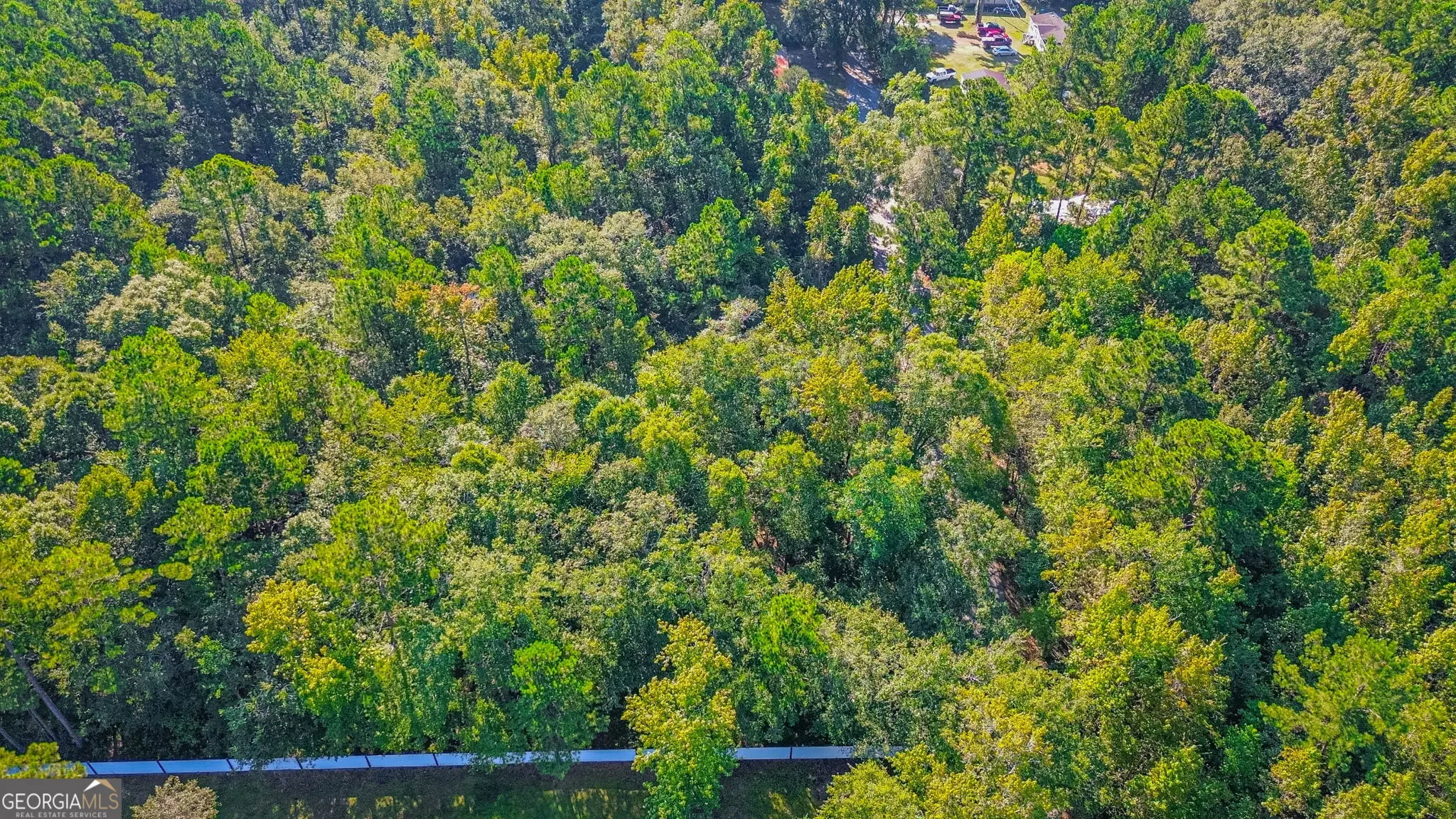 247 Cedar Lane