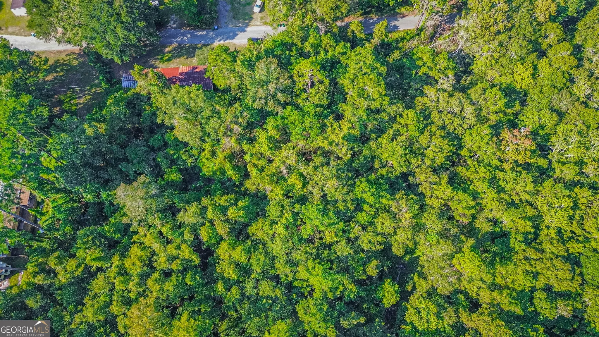 247 Cedar Lane