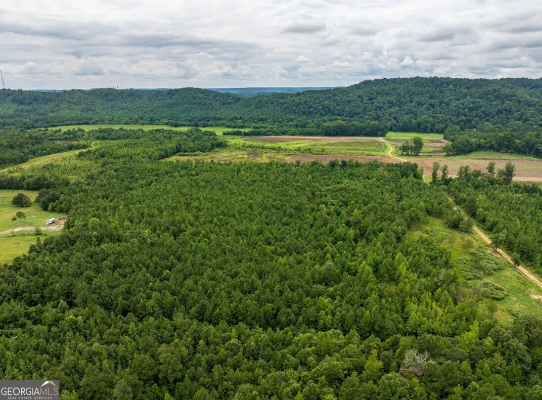 TRACT 1 0 Double Pond Trail, #TRACT 1