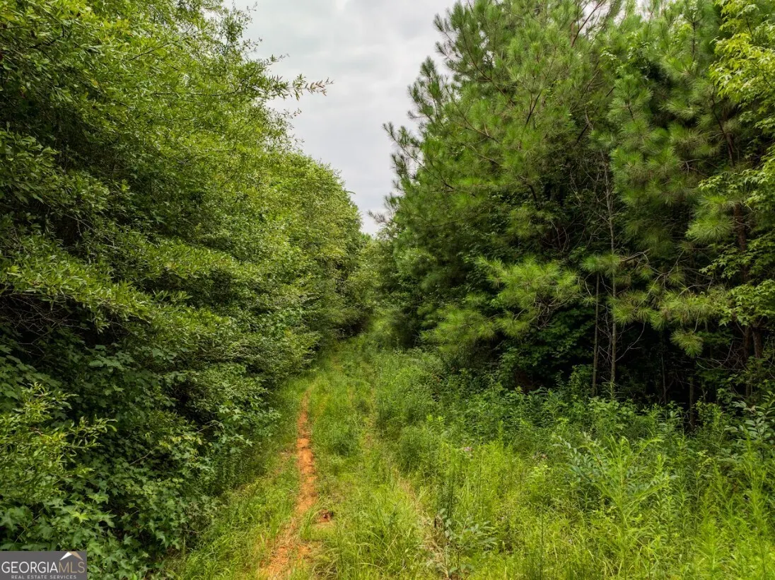 TRACT 1 0 Double Pond Trail, #TRACT 1