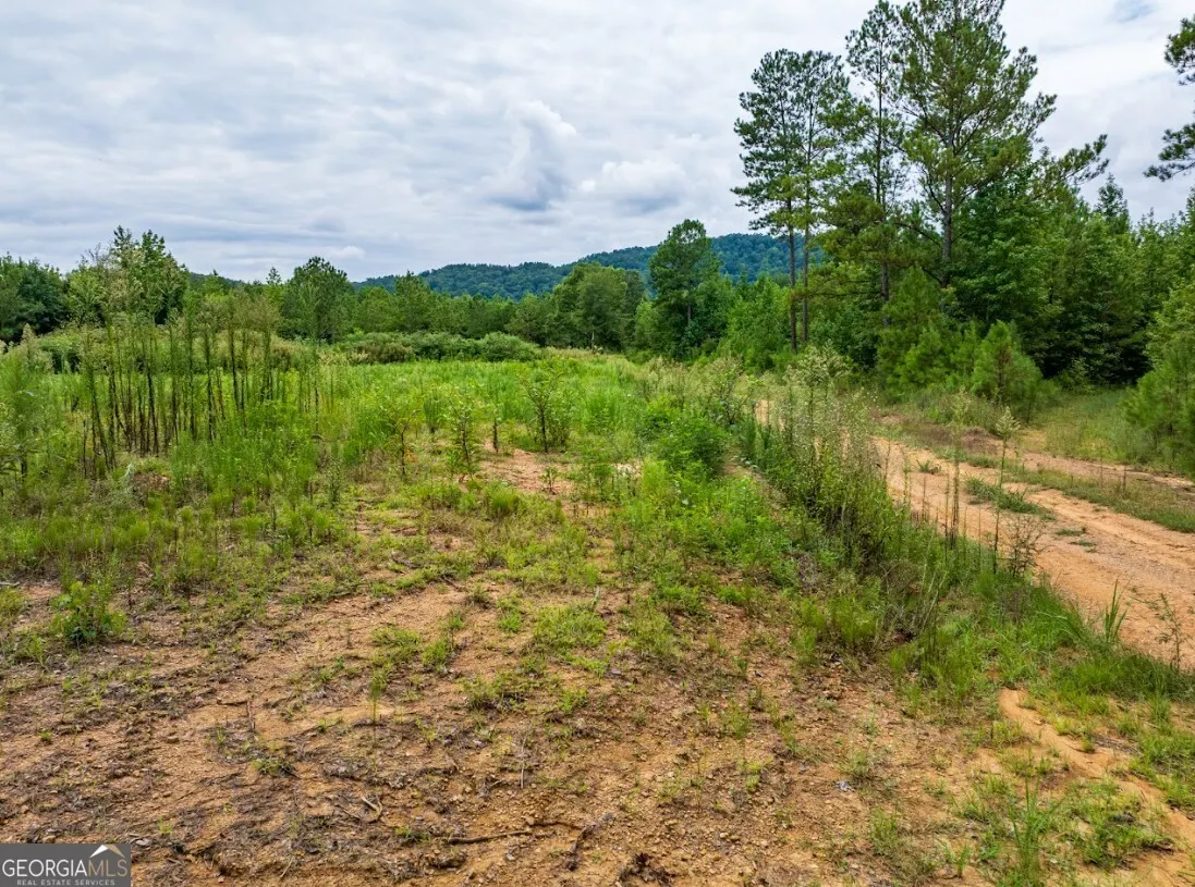 TRACT 1 0 Double Pond Trail, #TRACT 1