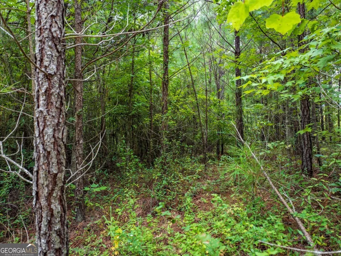 TRACT 1 0 Double Pond Trail, #TRACT 1