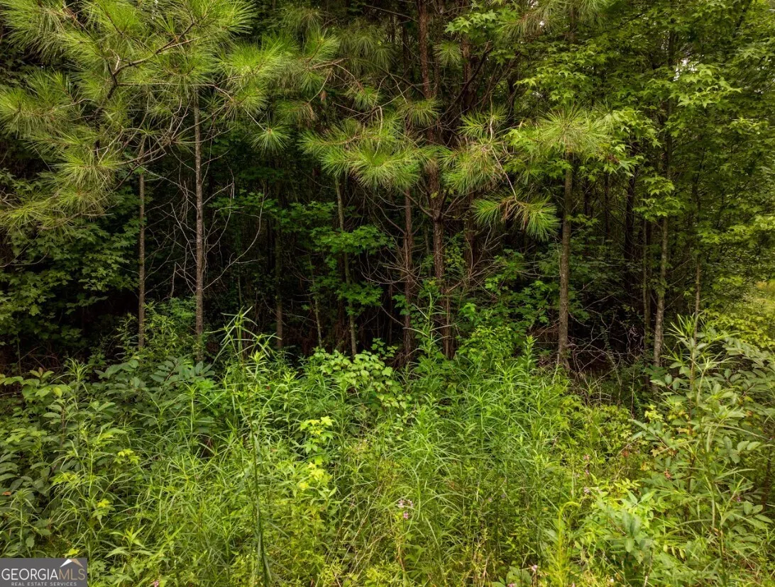 TRACT 1 0 Double Pond Trail, #TRACT 1