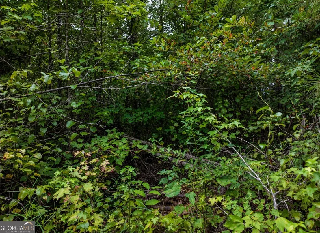 TRACT 1 0 Double Pond Trail, #TRACT 1