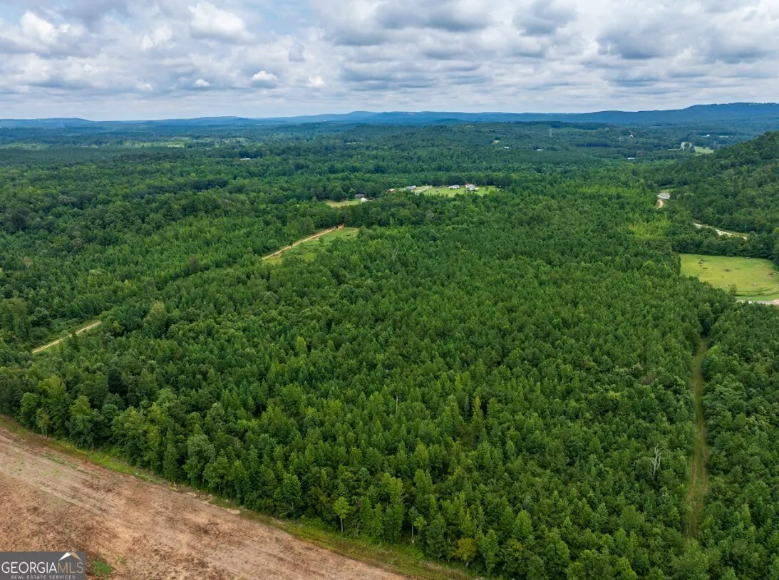 TRACT 1 0 Double Pond Trail, #TRACT 1