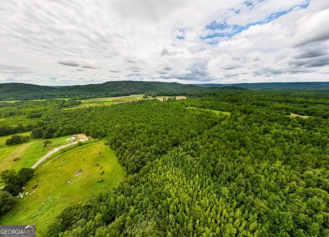 TRACT 1 0 Double Pond Trail, #TRACT 1