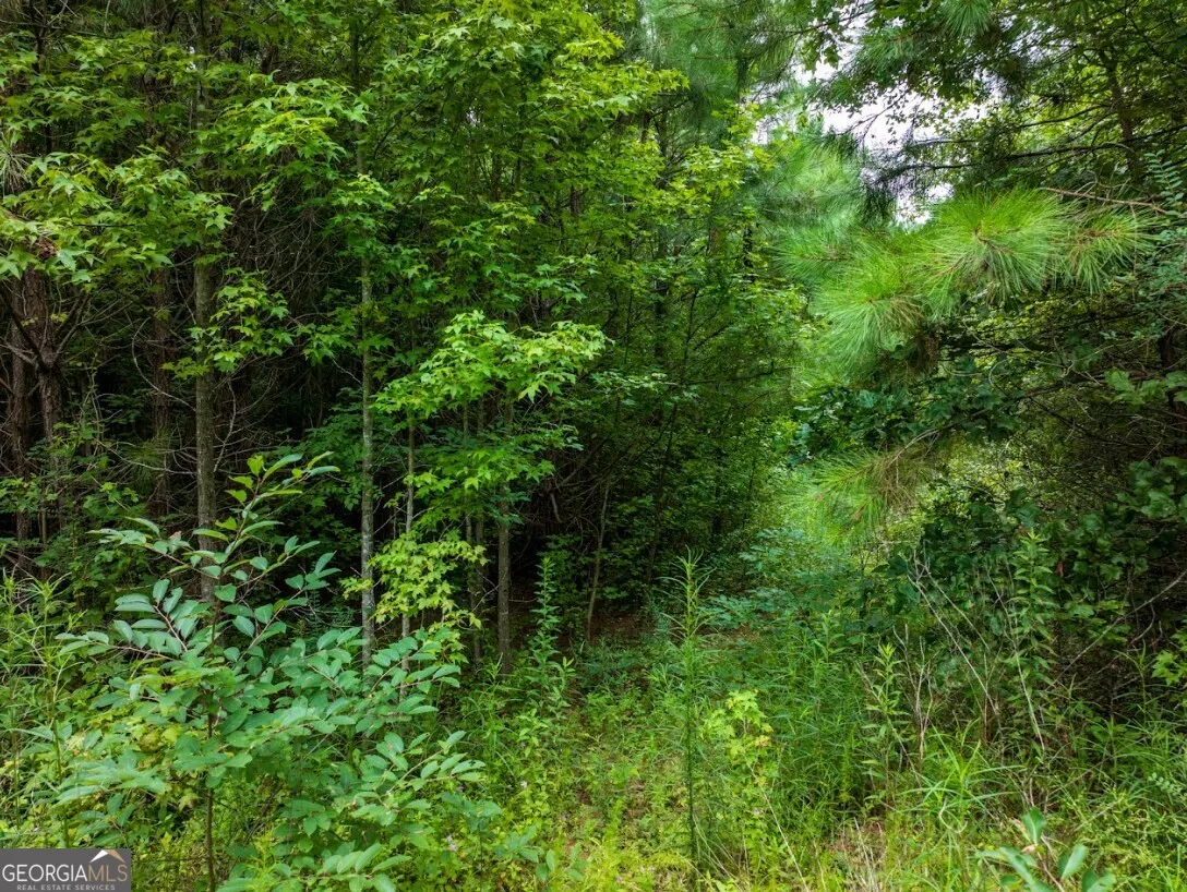 TRACT 1 0 Double Pond Trail, #TRACT 1