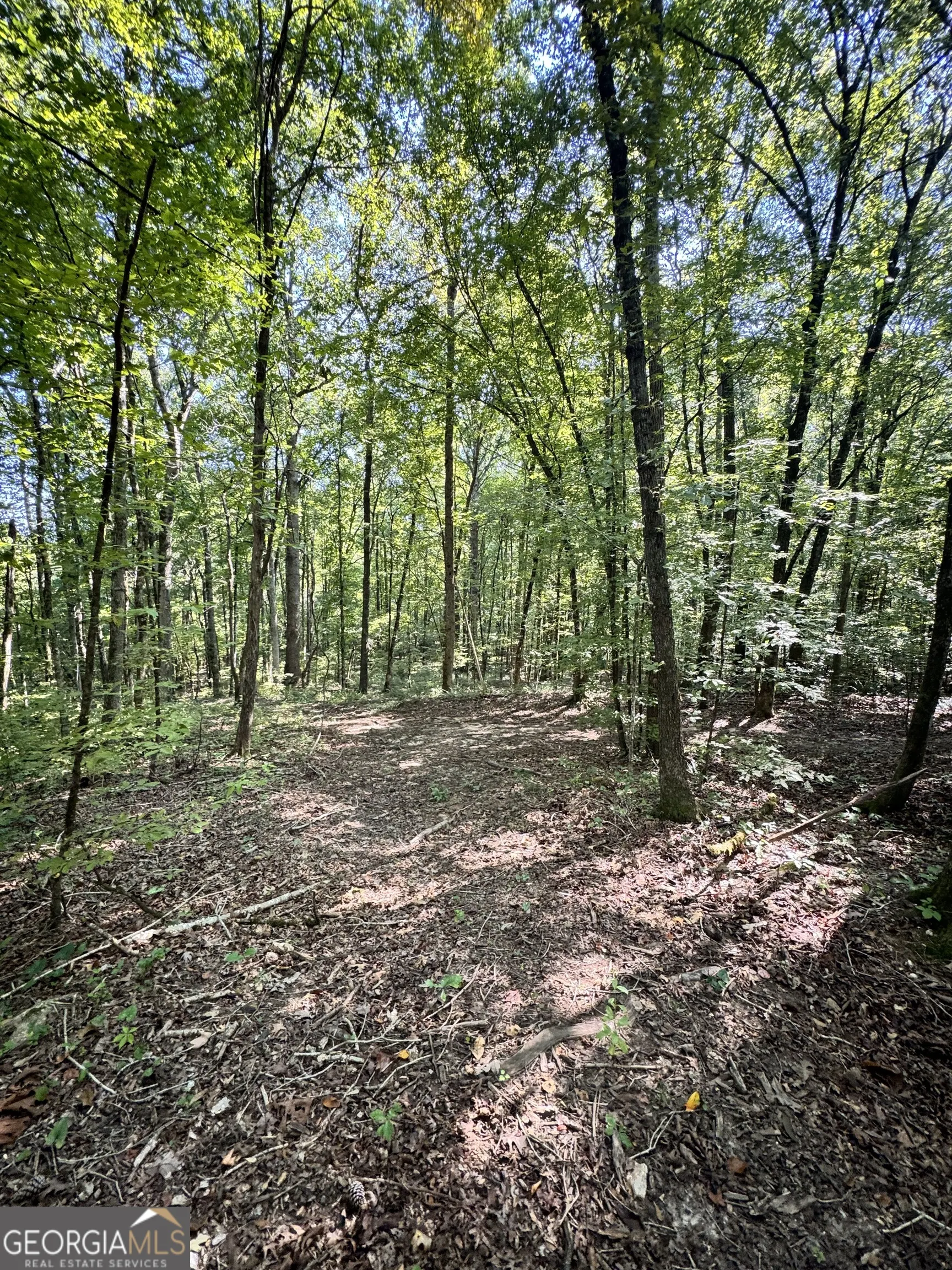3487 N GA HWY 42