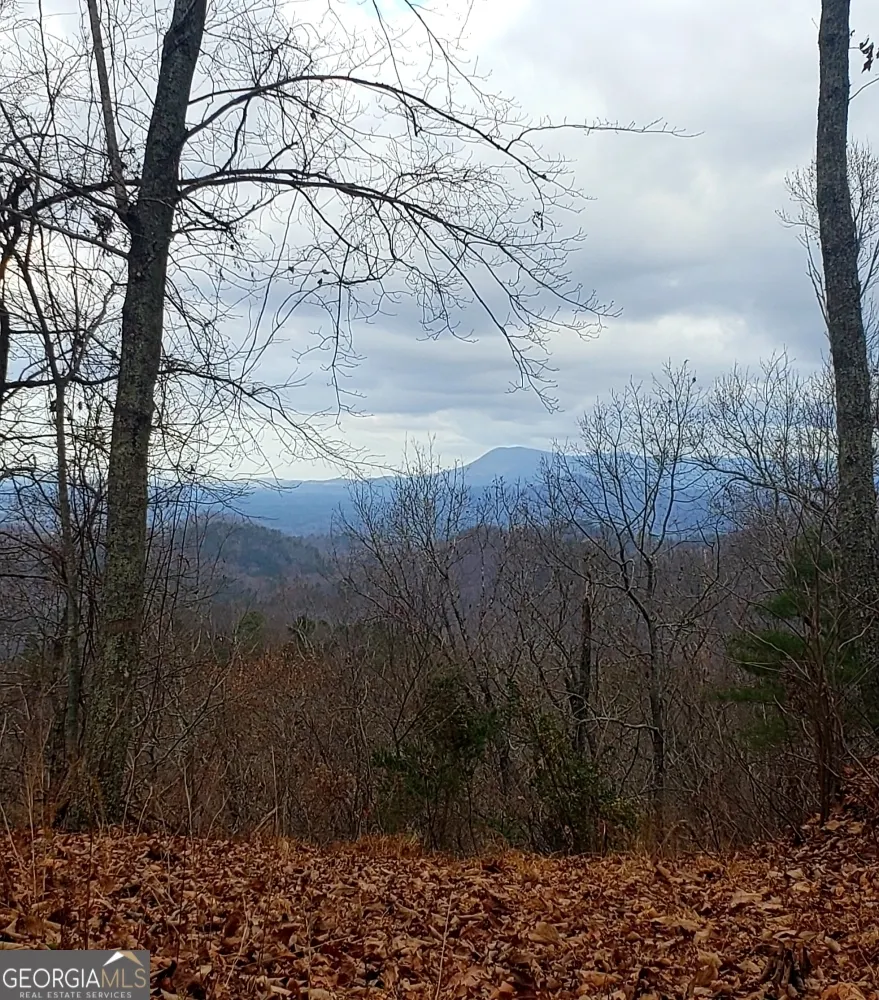171B Elk Trail
