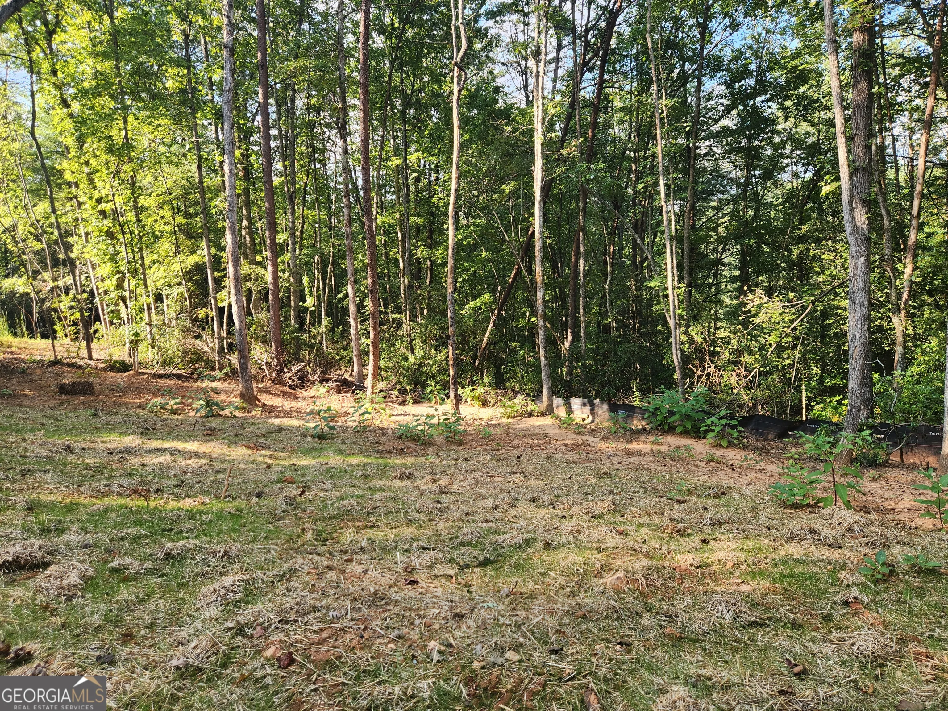 412 Fireside Ridge Drive