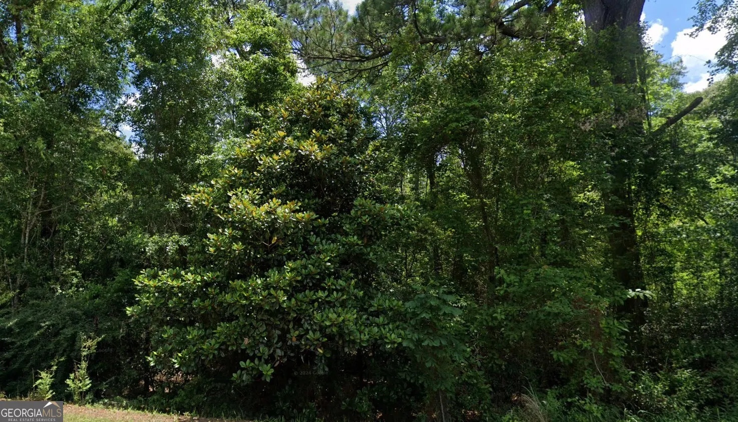 LOT 17 0 Beverly Jeffries Hwy, #LOT 17