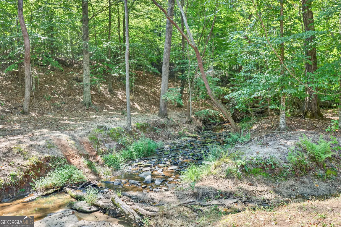 214 Cannon Creek