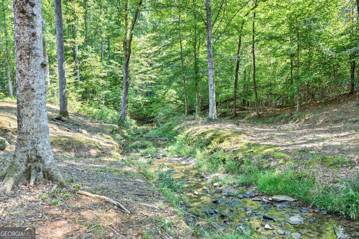 214 Cannon Creek