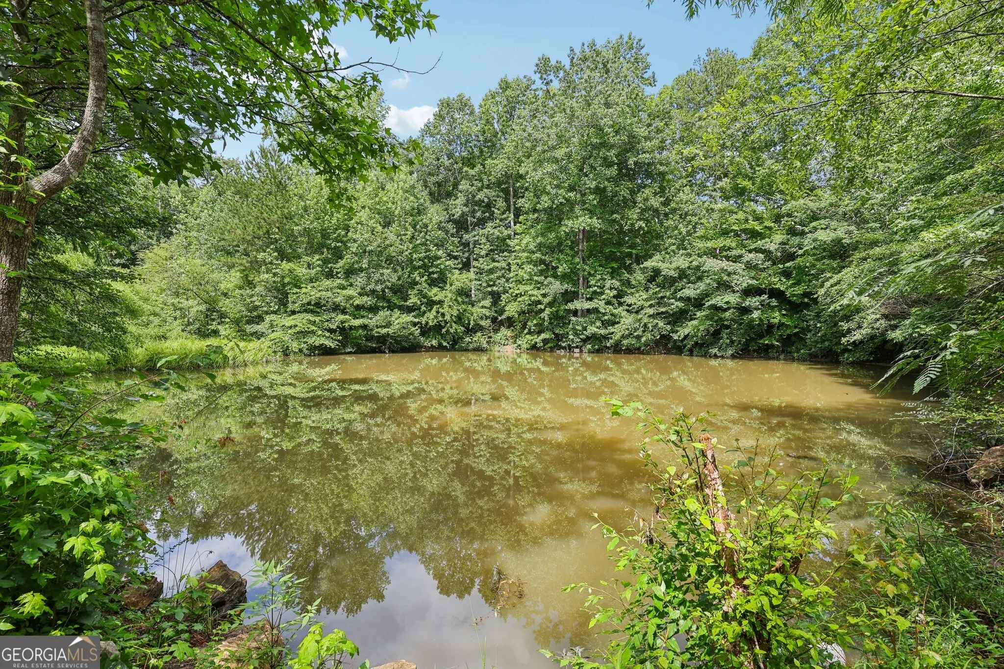 4685 Braselton Highway
