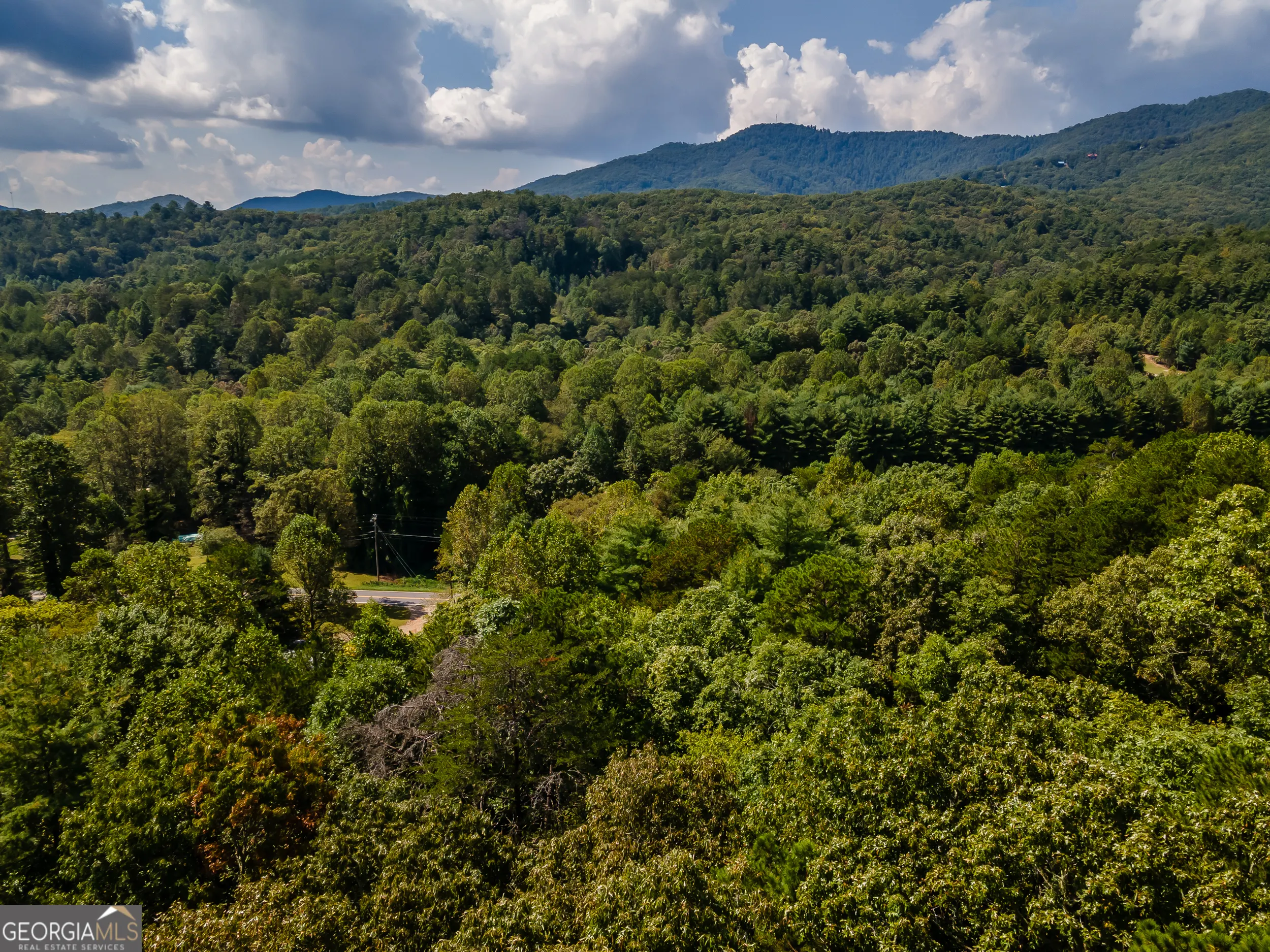 151 Pinewood Drive