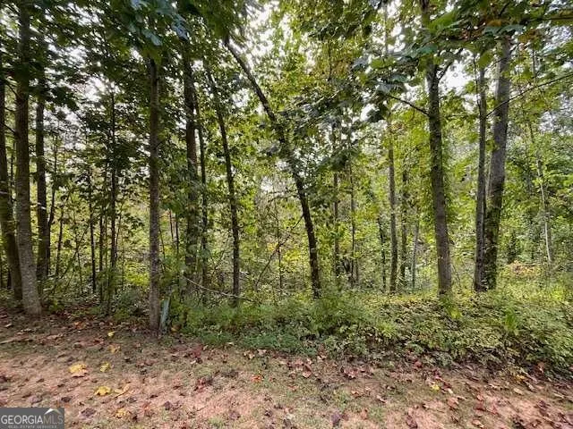 916 Cove Lake Drive