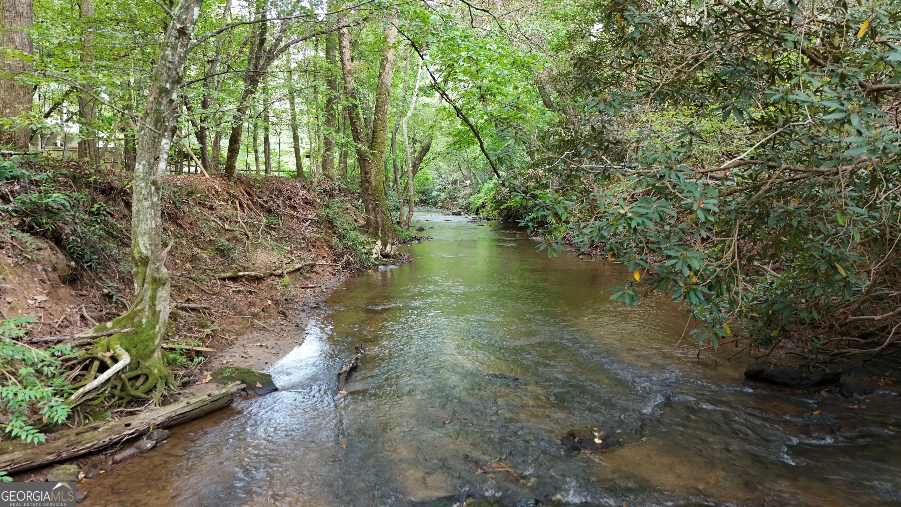 922 Amys Ford Trail