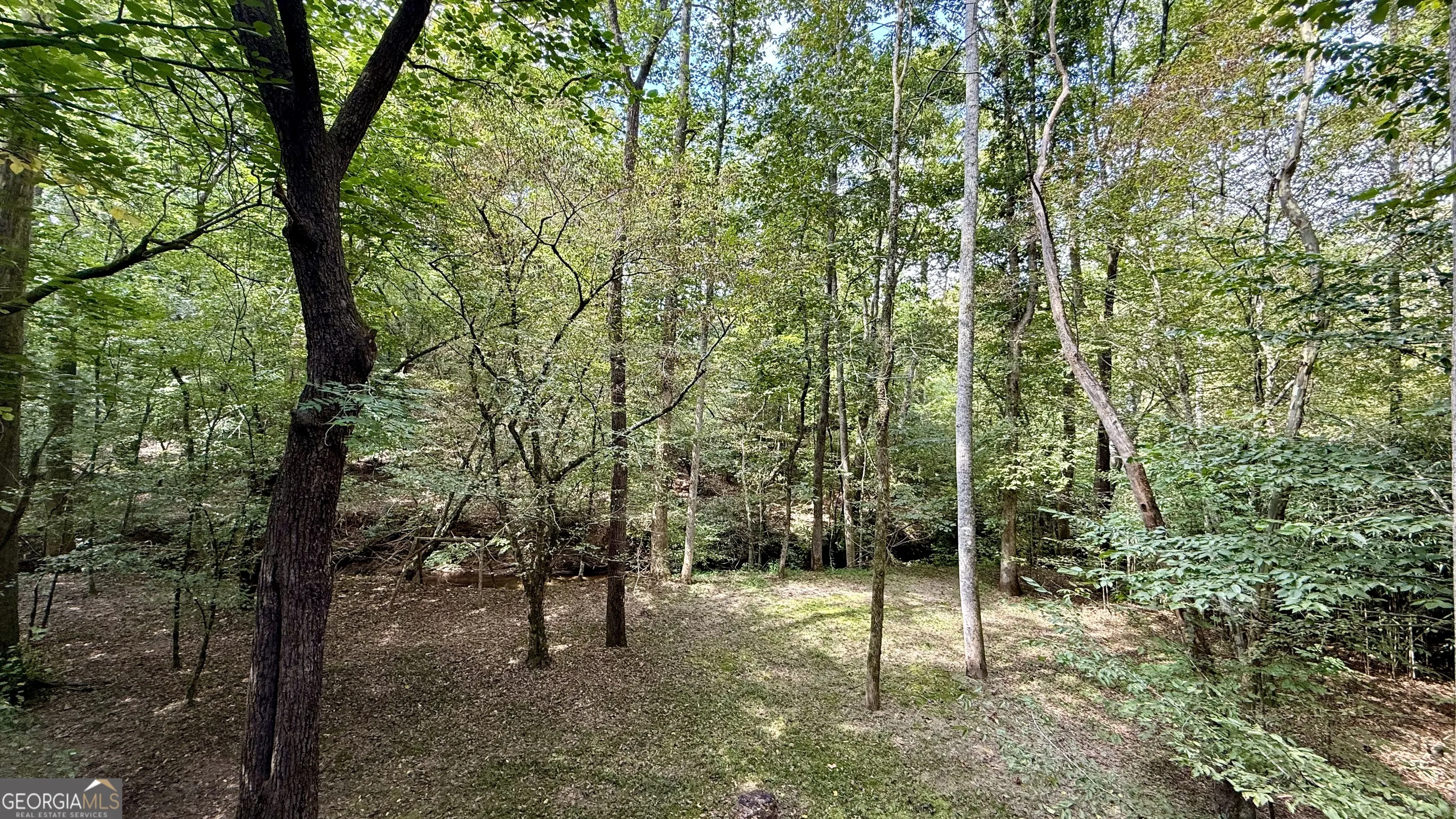 922 Amys Ford Trail