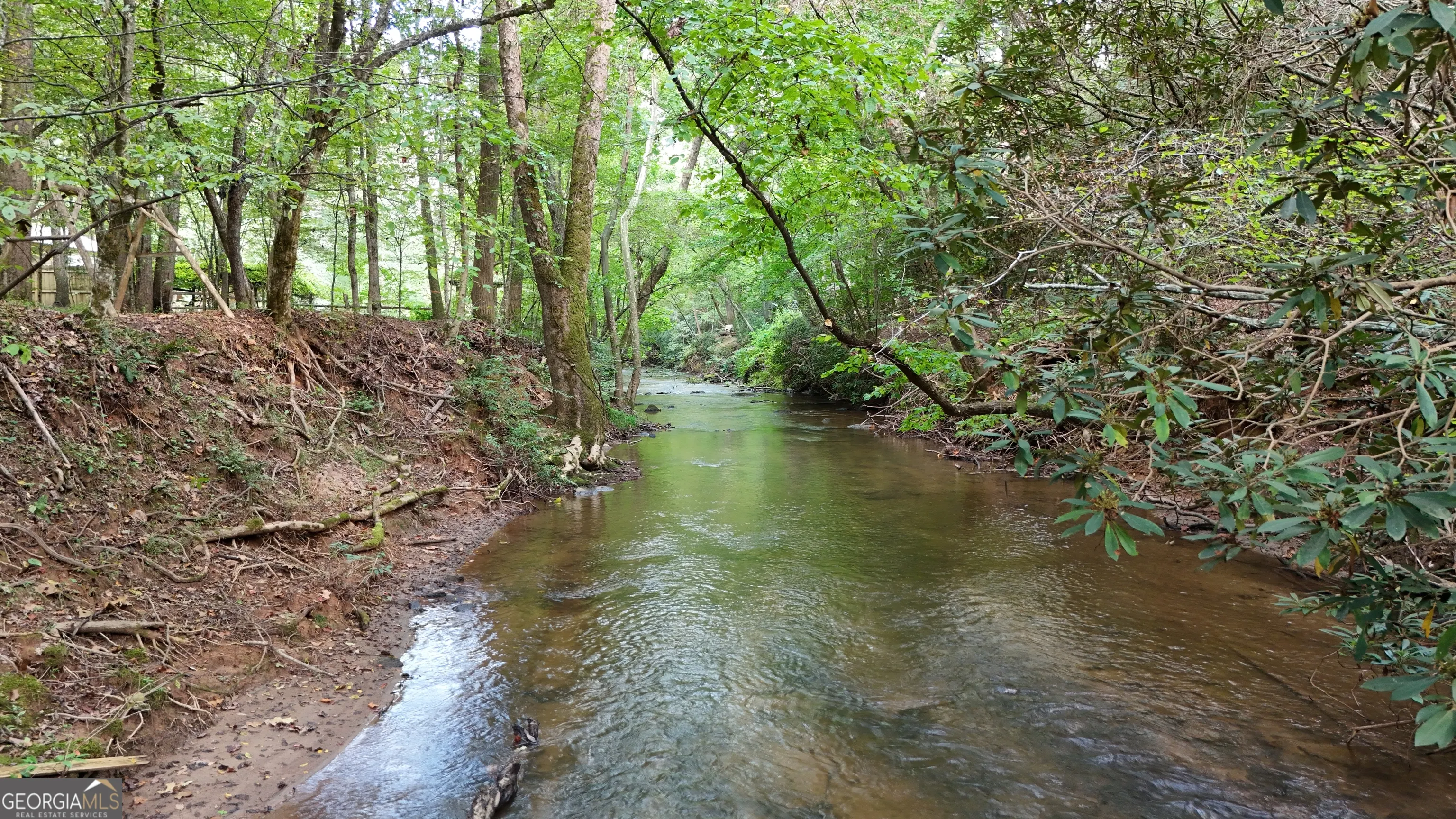 922 Amys Ford Trail