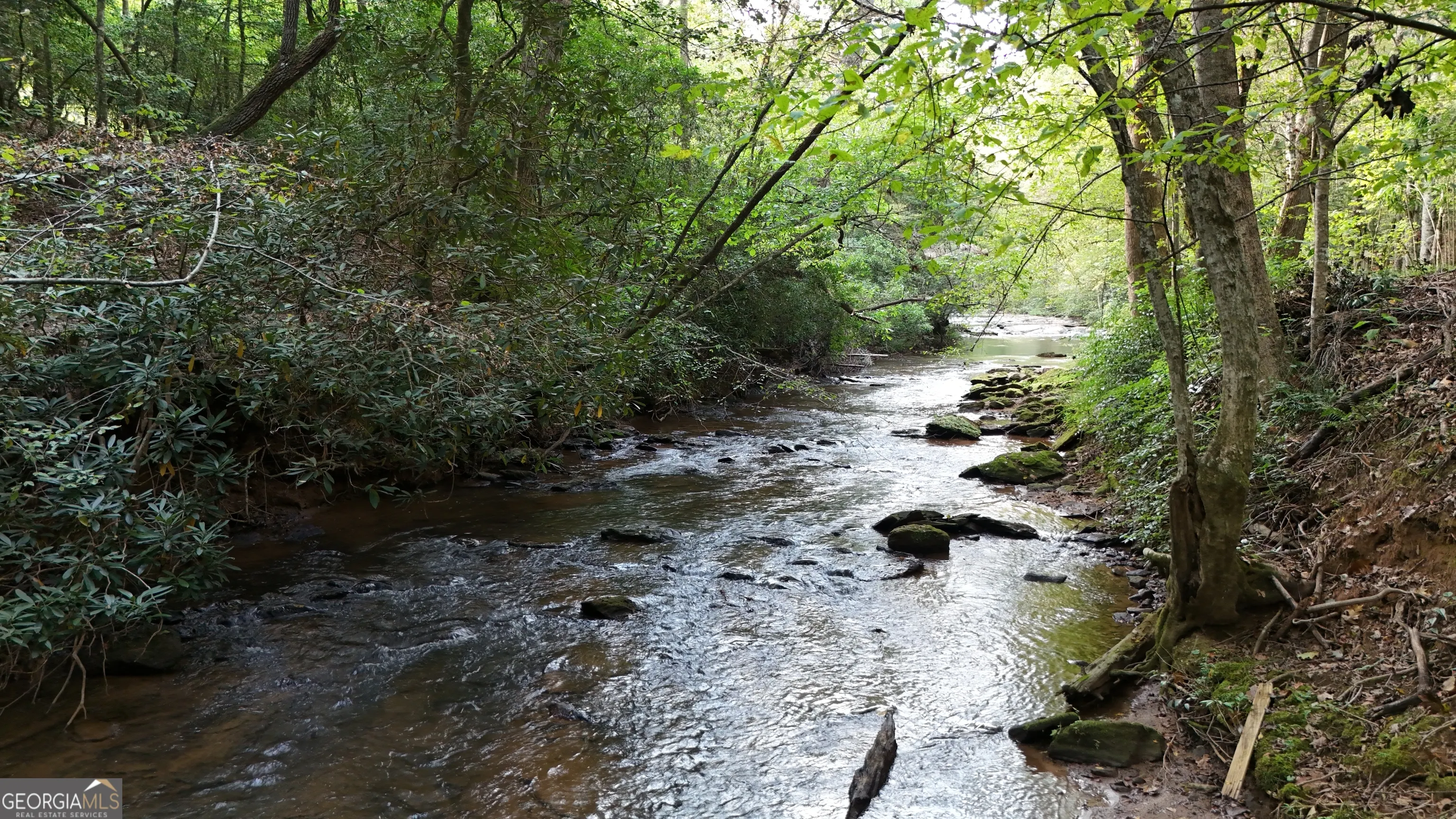 922 Amys Ford Trail