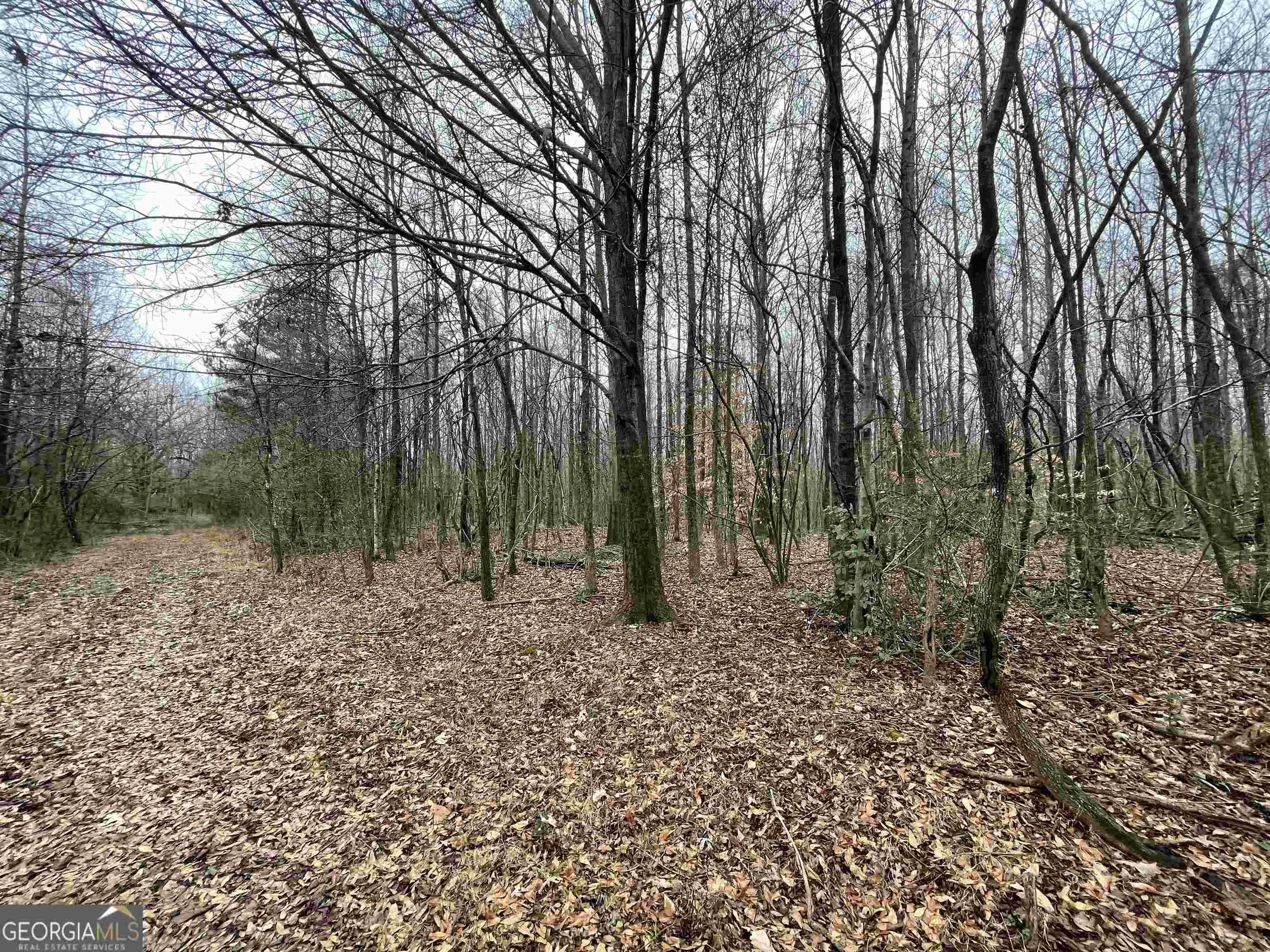 0 Holiness Campground Road