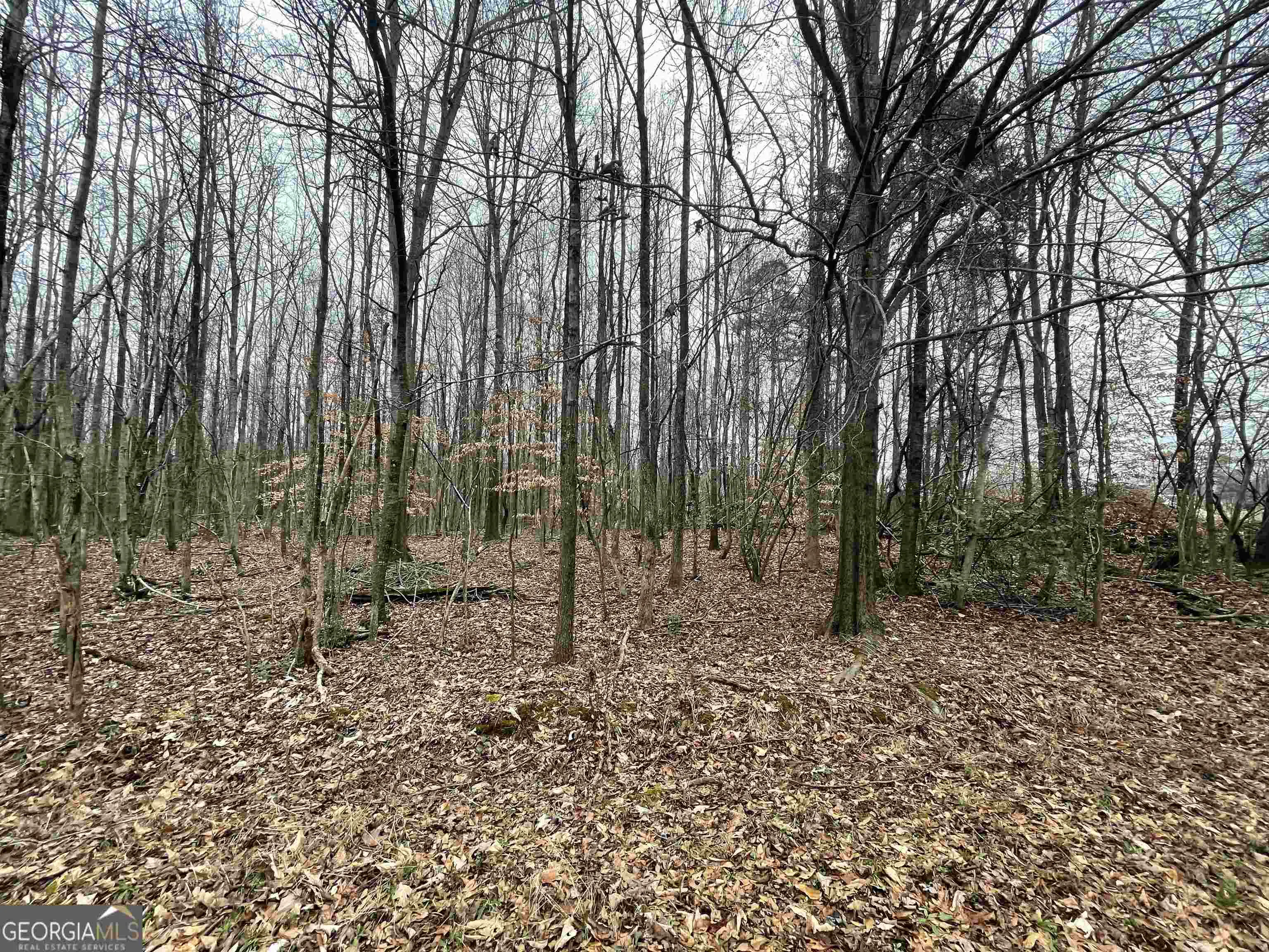 0 Holiness Campground Road