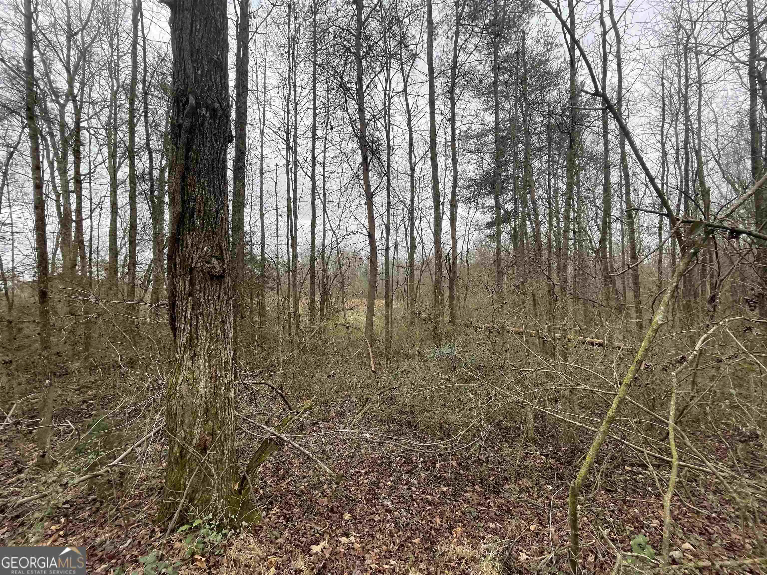 0 Holiness Campground Road